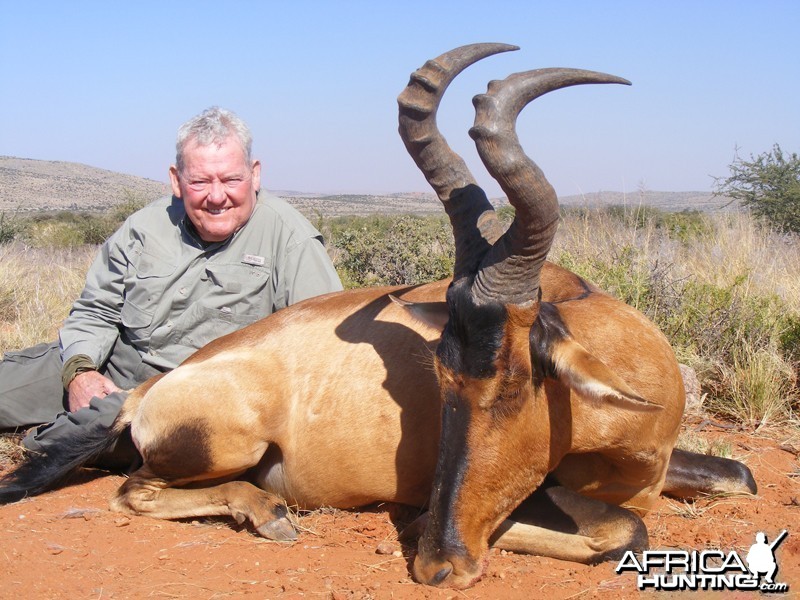 Hartebeest hunt with Wintershoek Johnny Vivier Safaris