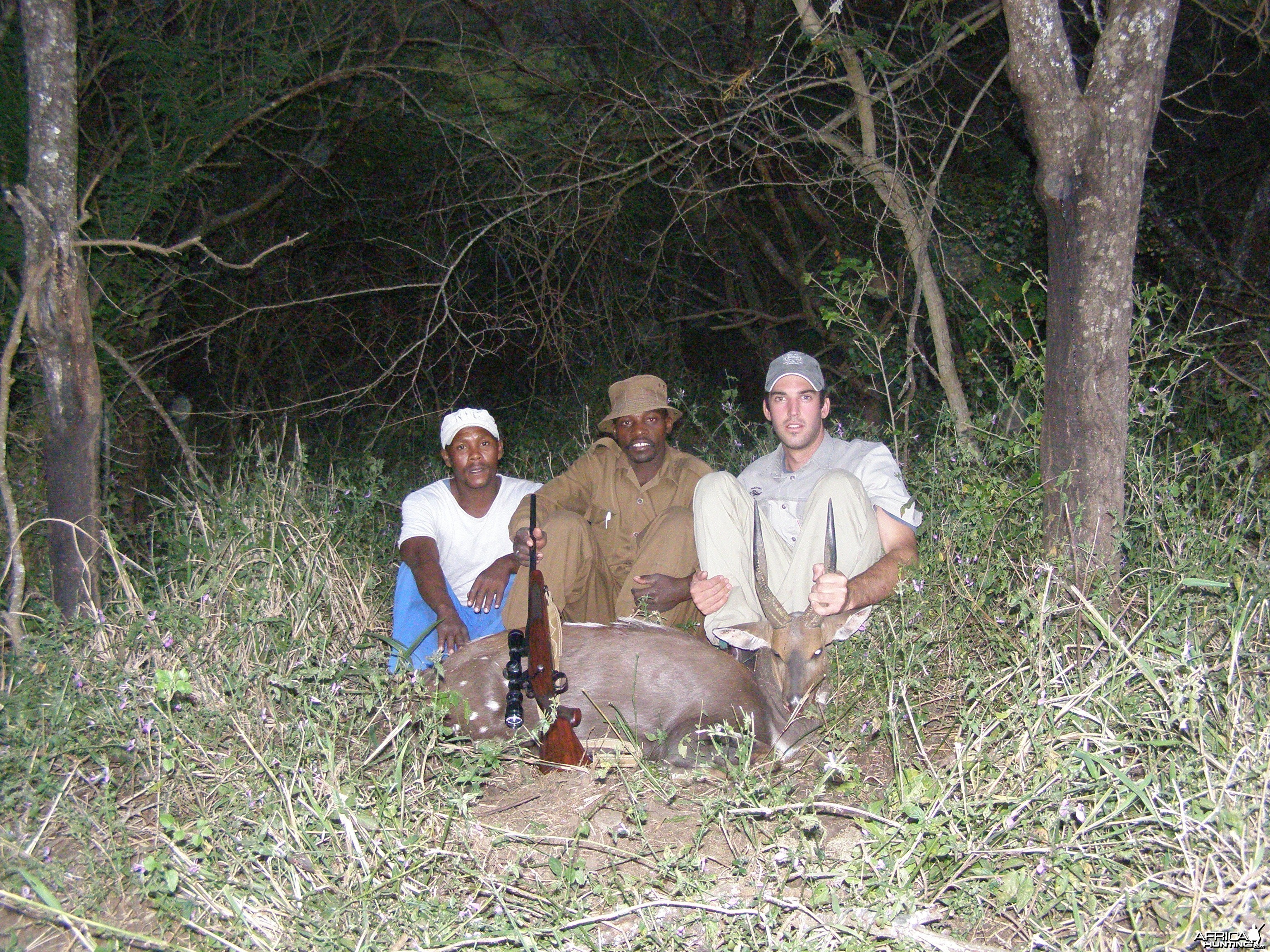 Bushbuck