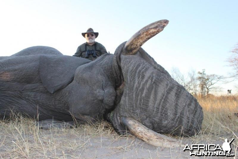 Elephant Namibia