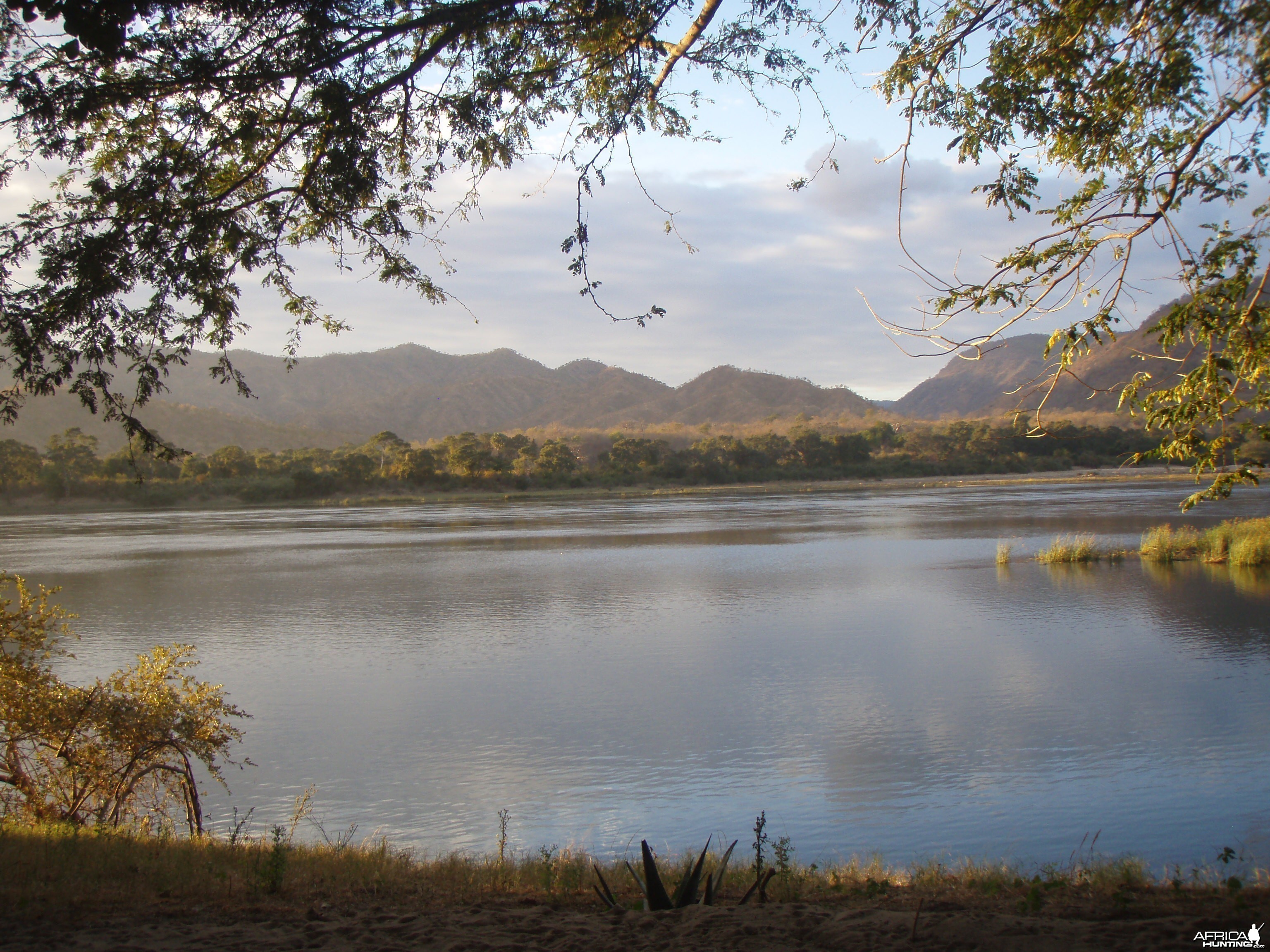 zambezi kingfisher lodge