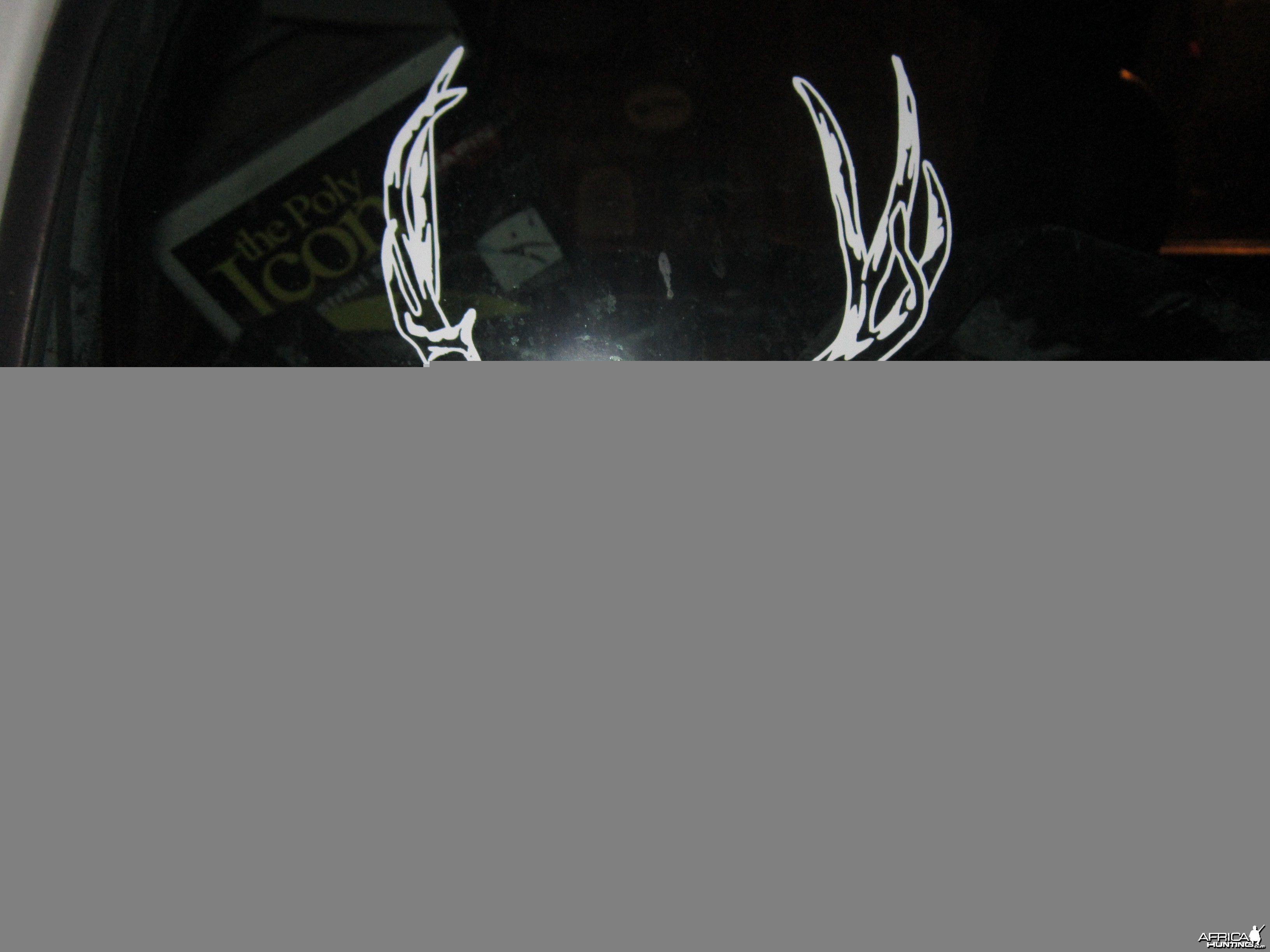 Mule Deer Decal Stickers