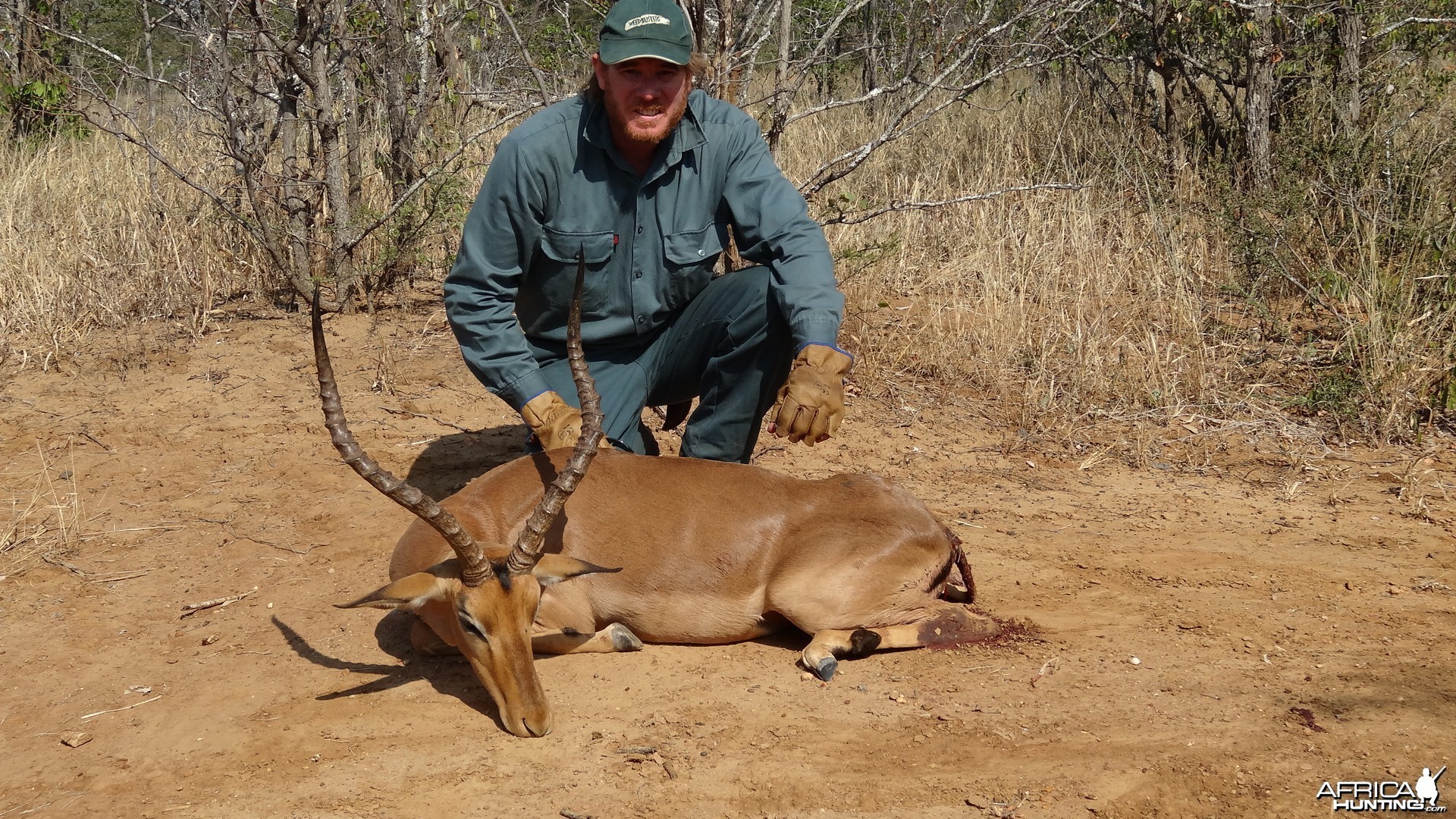 Lacka Impala