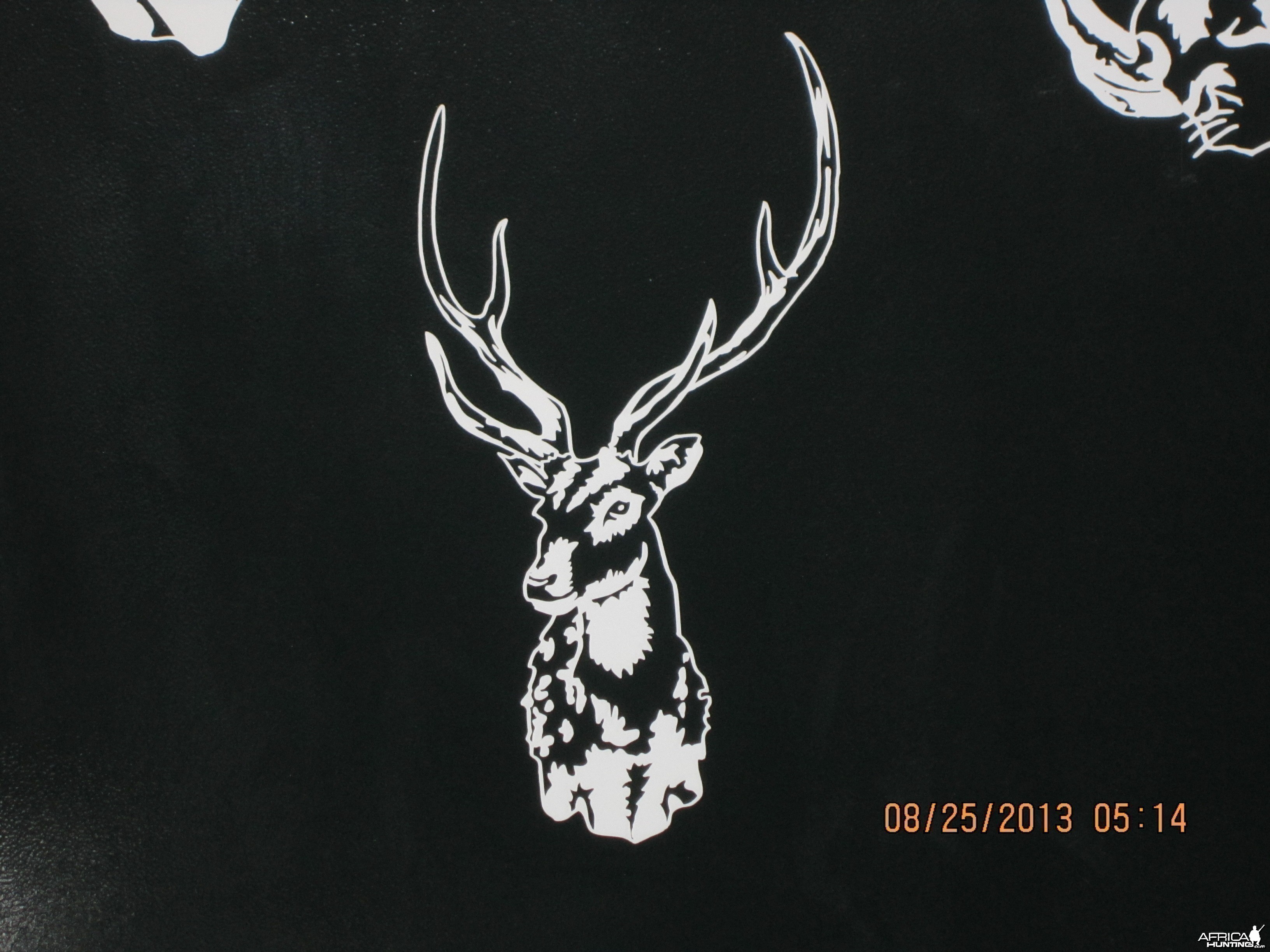 Axis Deer Decal Stickers