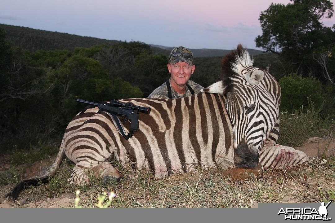 Zebra in the Eastern Cape