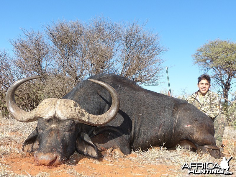 Buffalo hunt with Wintershoek Johnny Vivier Safaris