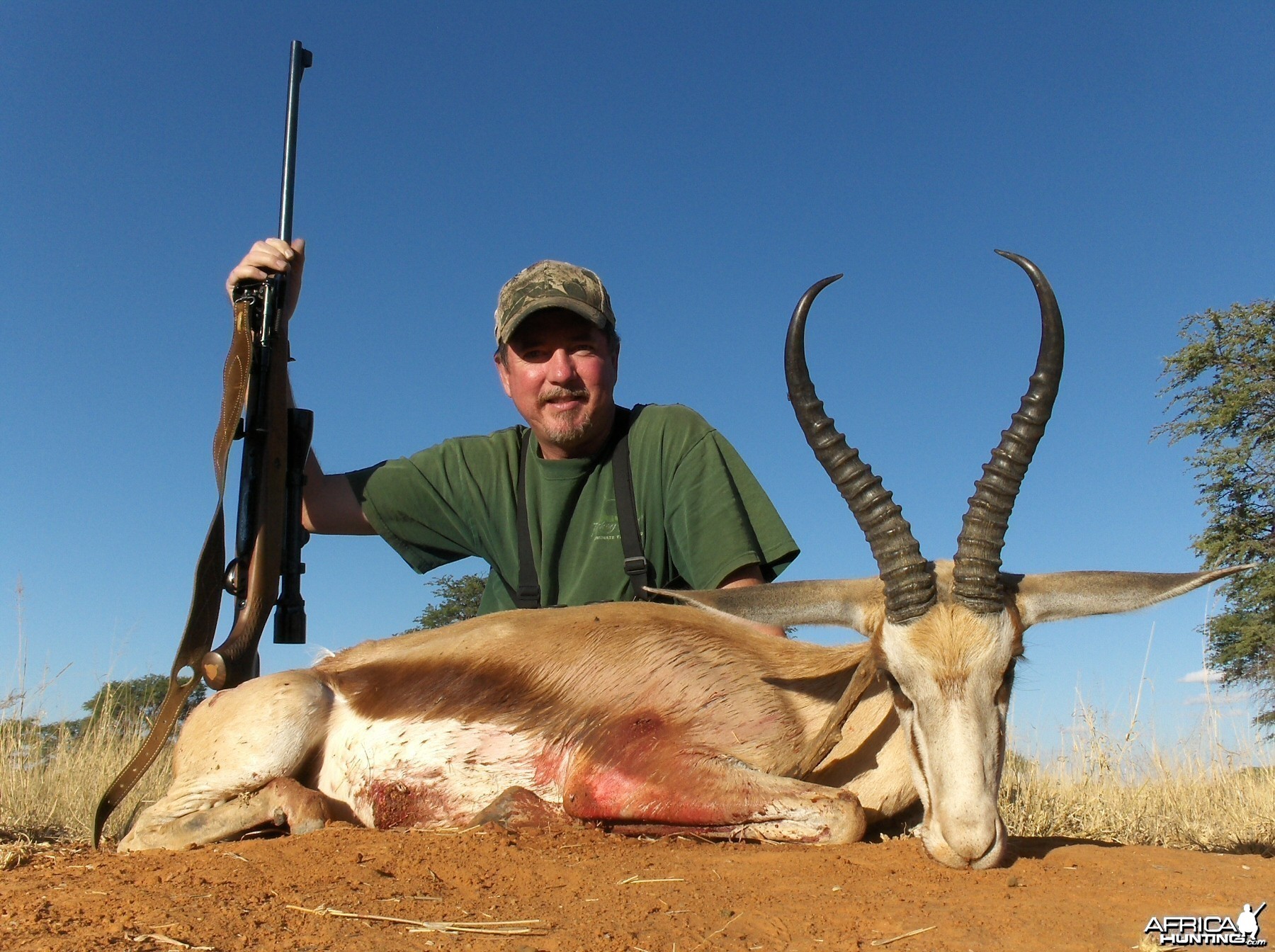 17'' kalahari springbok