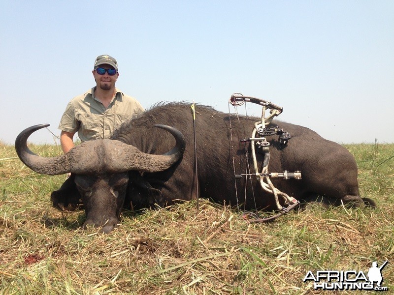 Buffalo Mozambique