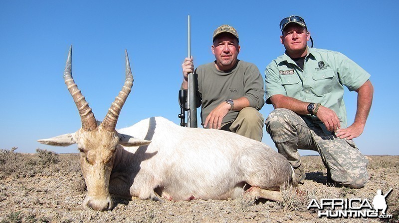 White Blesbok hunt with Wintershoek Johnny Vivier Safaris