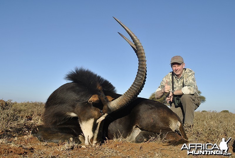 Sable hunt with Wintershoek Johnny Vivier Safaris