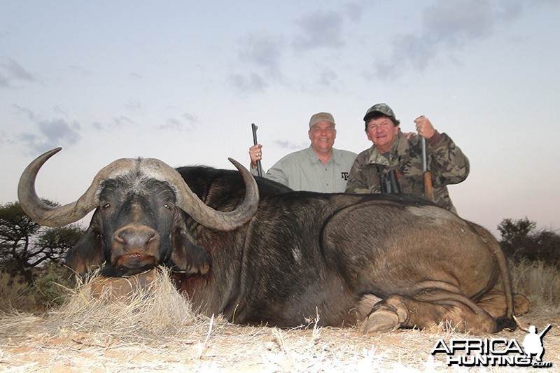 Buffalo hunt with Wintershoek Johnny Vivier Safaris