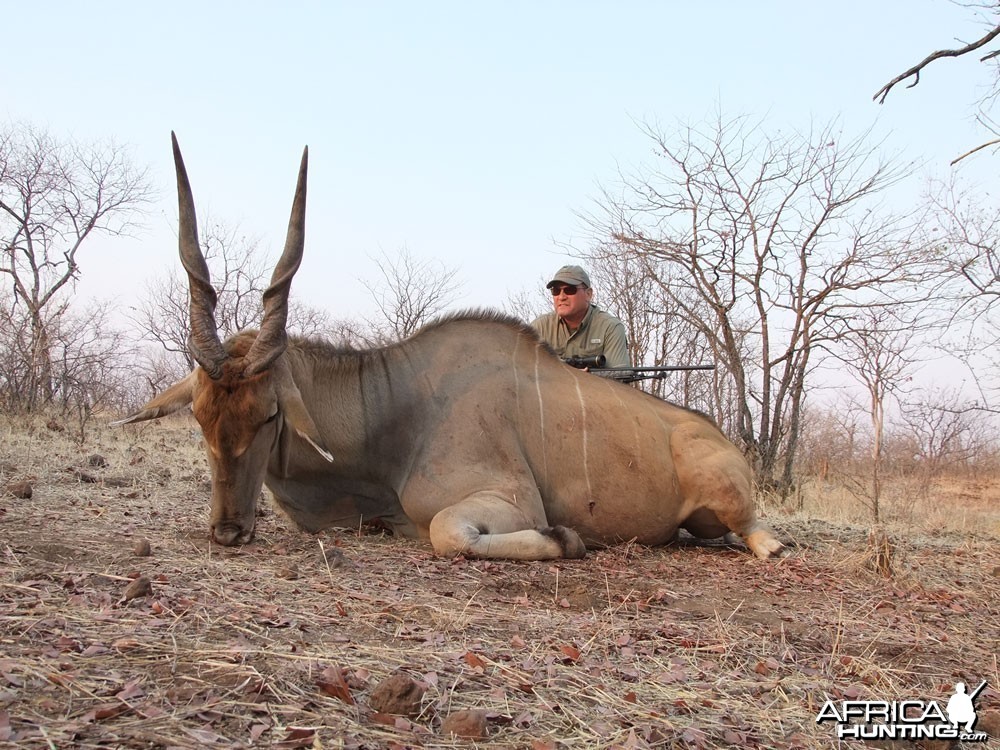 SCI Silver Livingston Eland (35&quot;+)