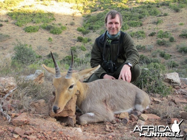 mountain reedbuck