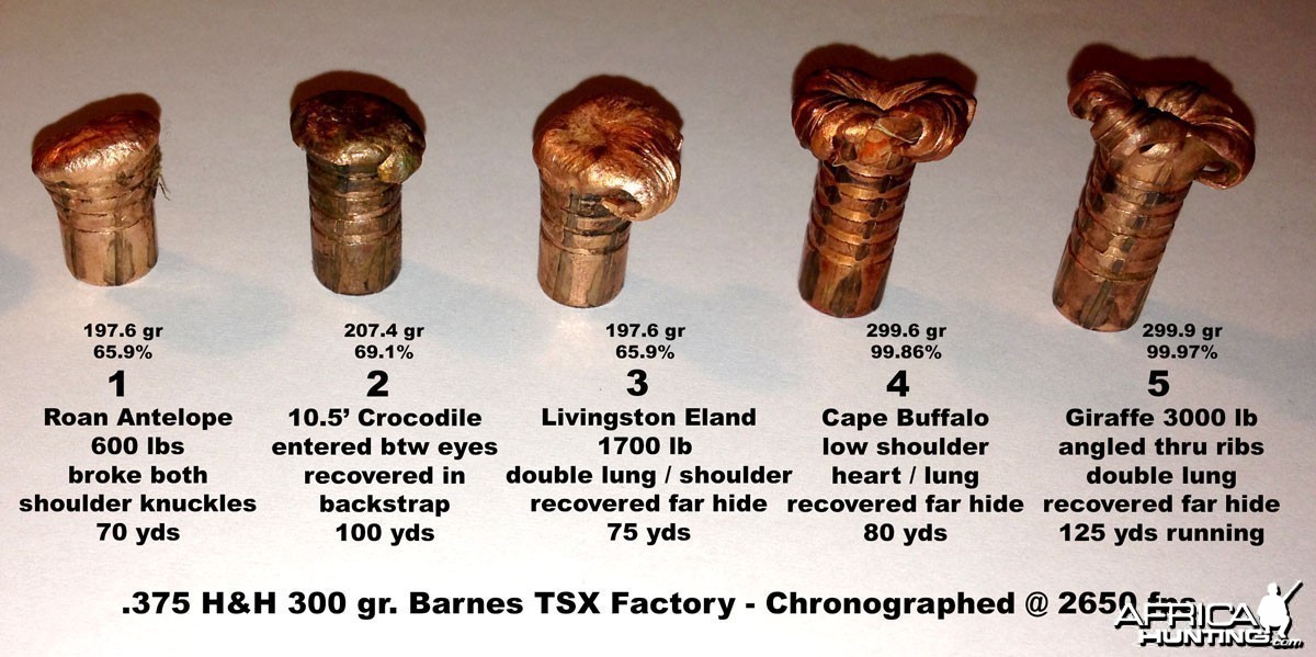 Barnes TSX Recovered Performance Report