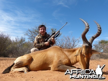 Red Hartebeest hunt with Wintershoek Johnny Vivier Safaris