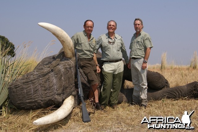 Hunting Elephant in Botswana