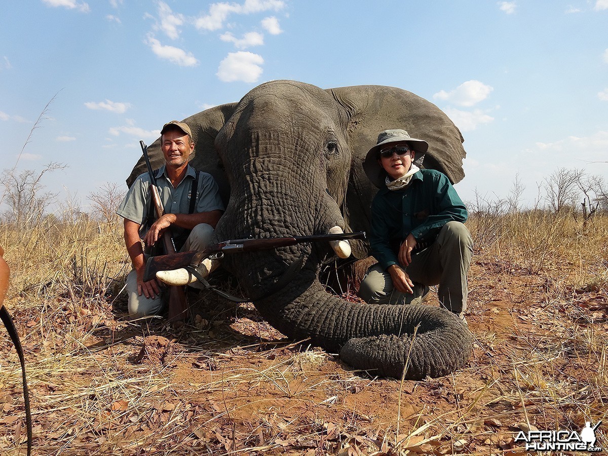 Seventh bull - Zimbabwe October 2013