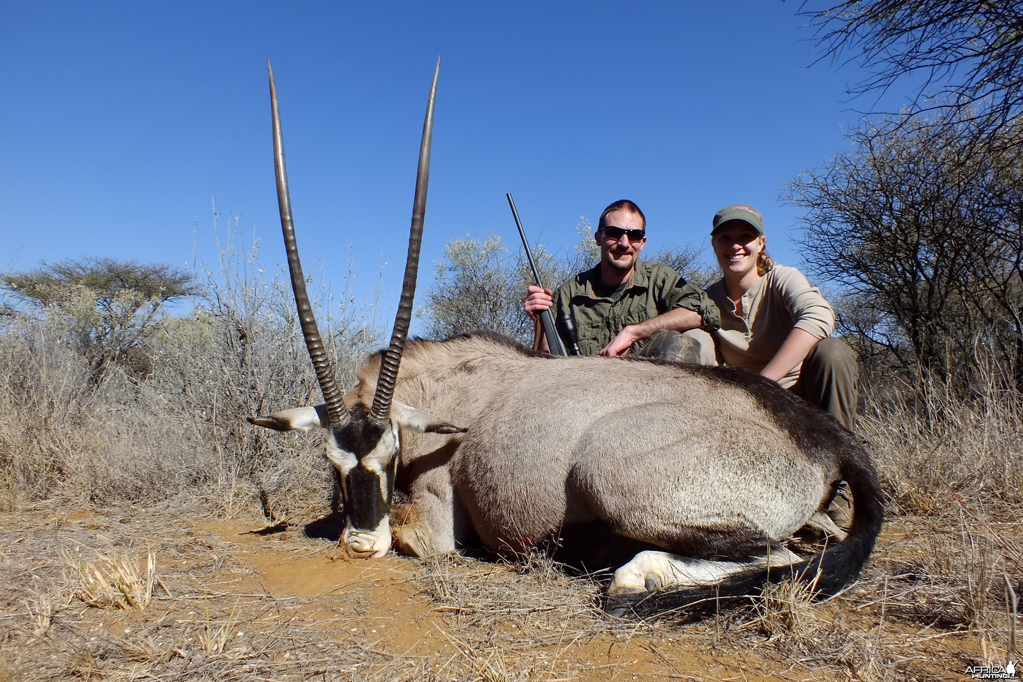 Gemsbok