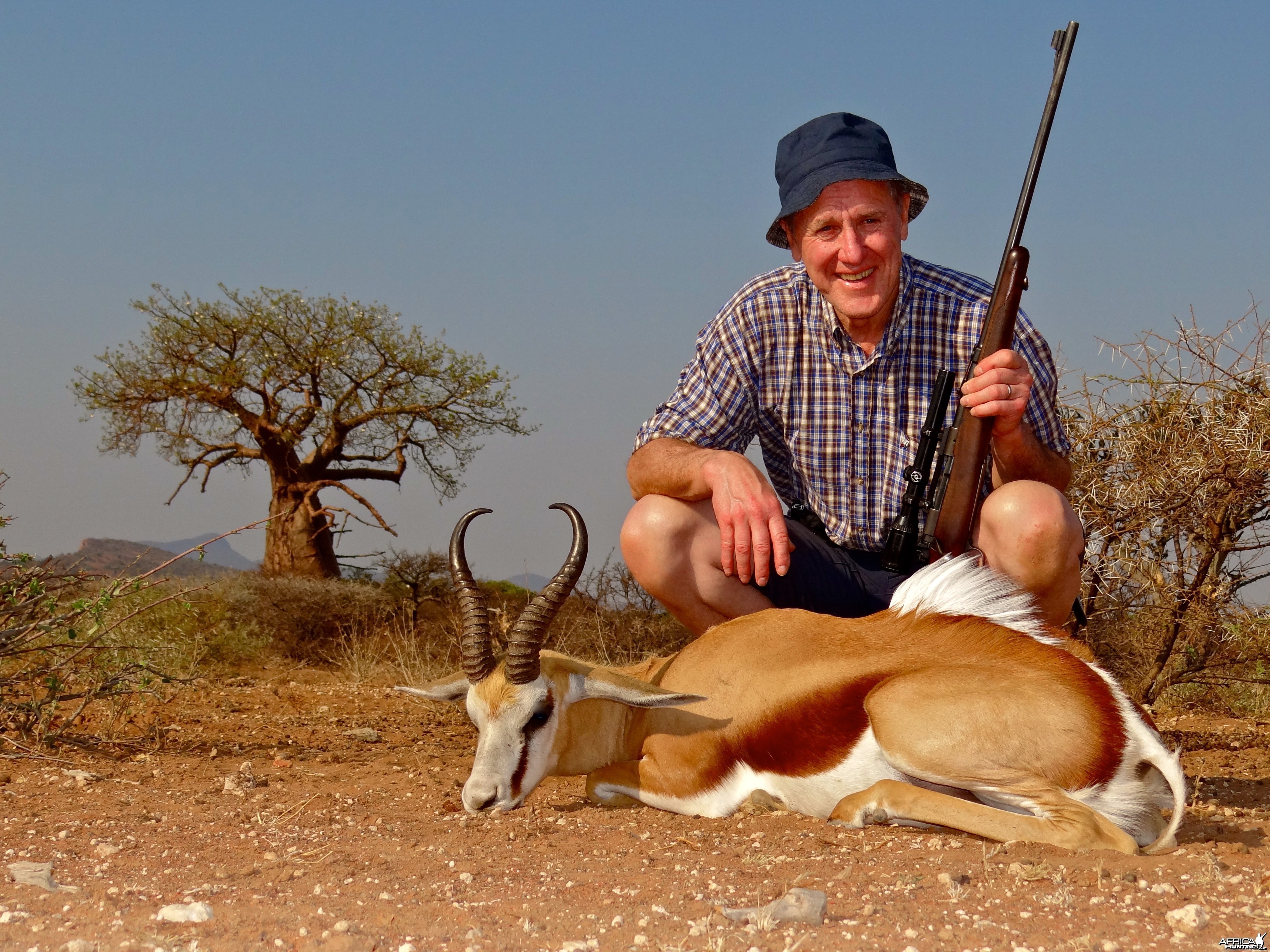 Common Springbuck (Limpopo) ~ Soutpansberg, South Africa