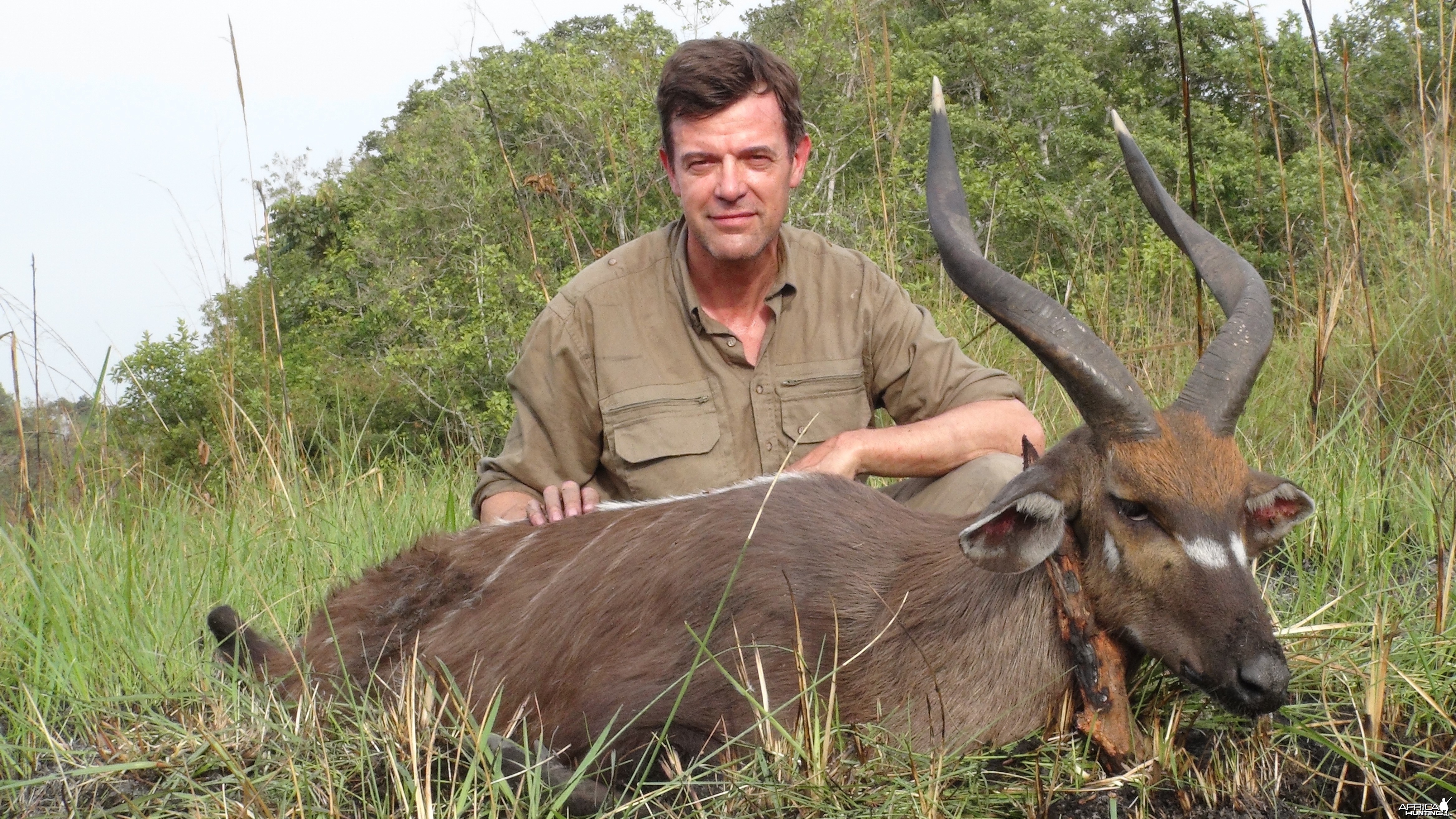 Sitatunga from central Cameroun