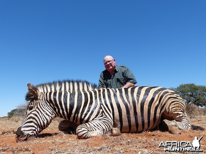 Zebra hunt with Wintershoek Johnny Vivier Safaris