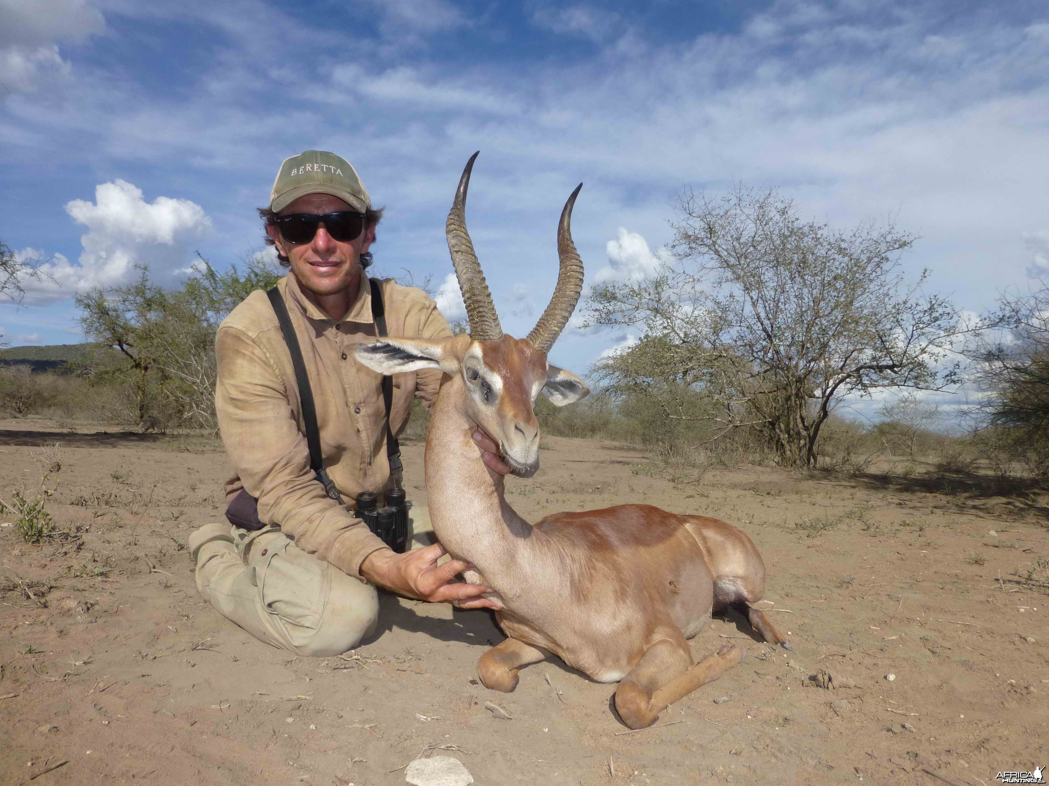 Gerenuk