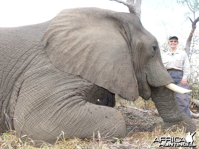 Elephant hunt with Wintershoek Johnny Vivier Safaris