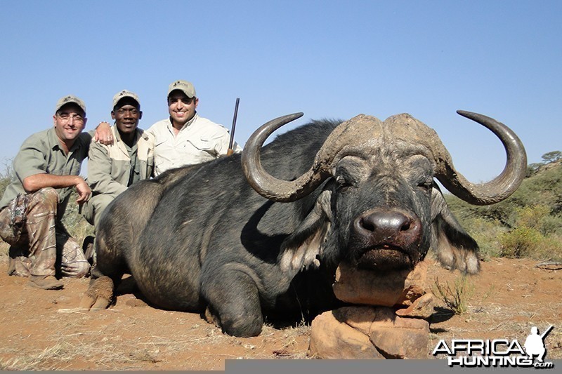 Buffalo hunt with Wintershoek Johnny Vivier Safaris