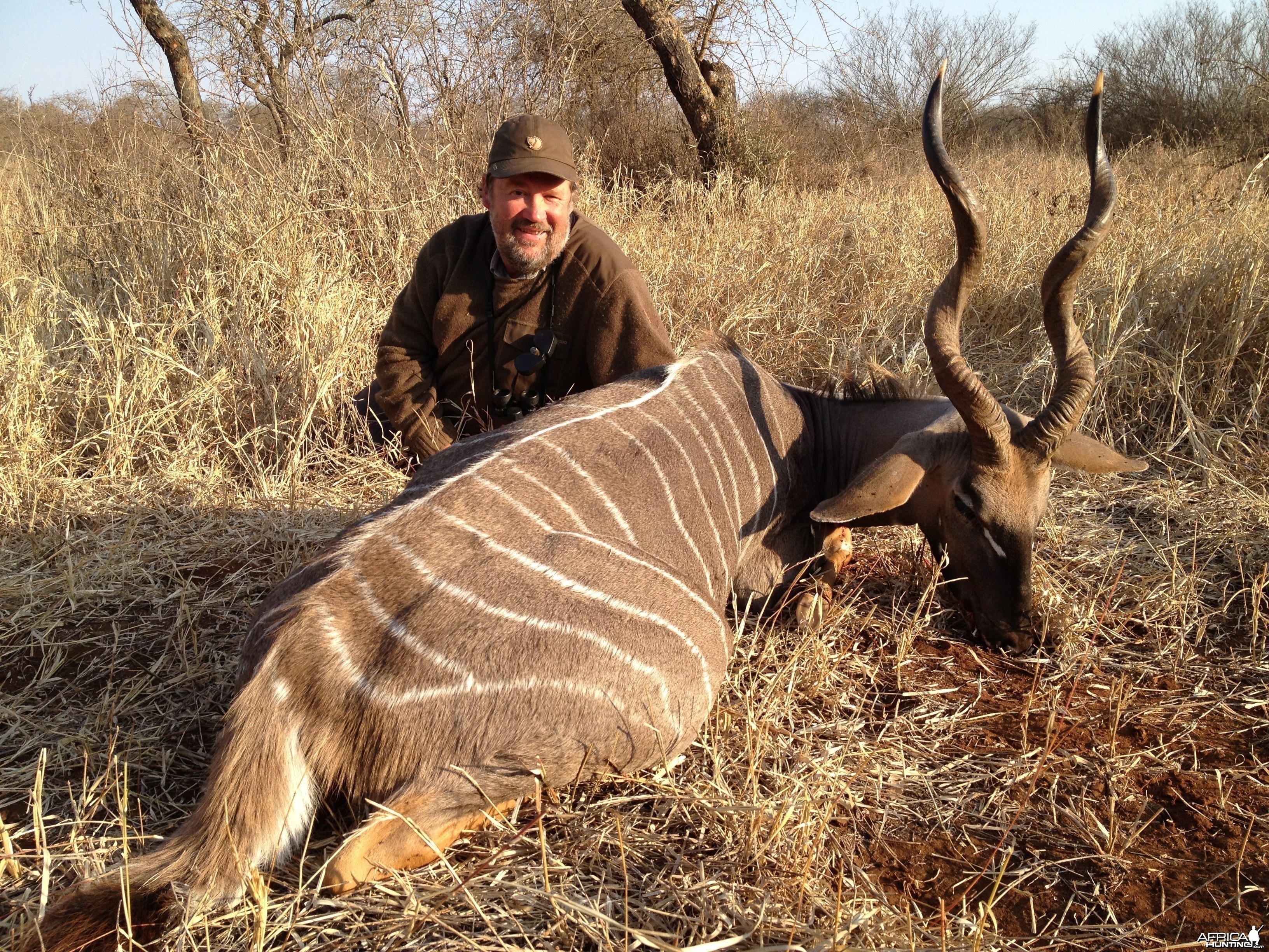 Masailand Lesser Kudu