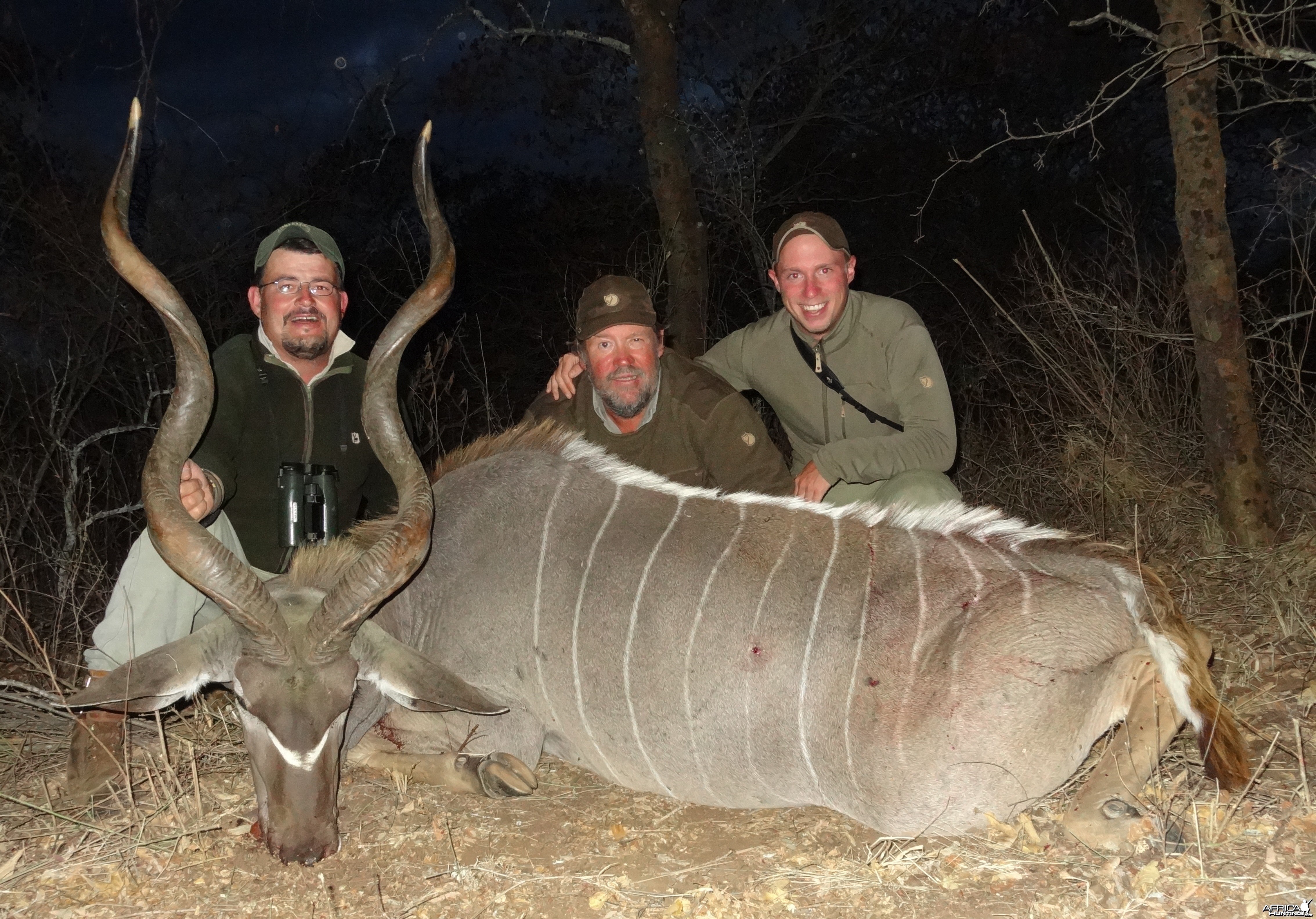 Masailand Greater Kudu