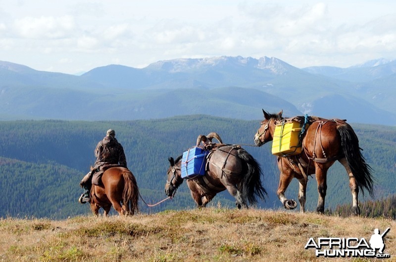 Hunting Big Horn Sheep in Southern British Columbia Canada