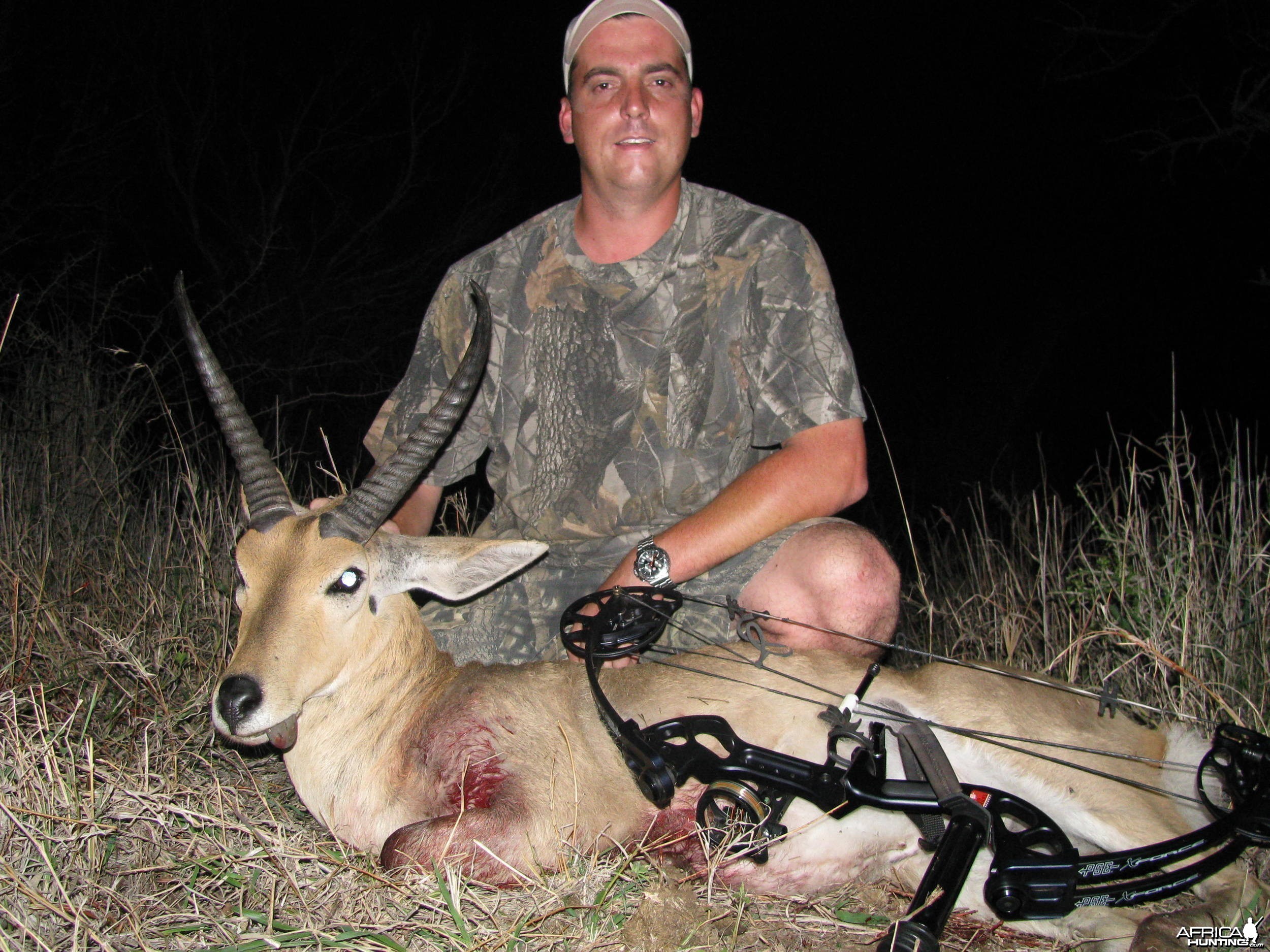 Bowhunting Reedbuck Common