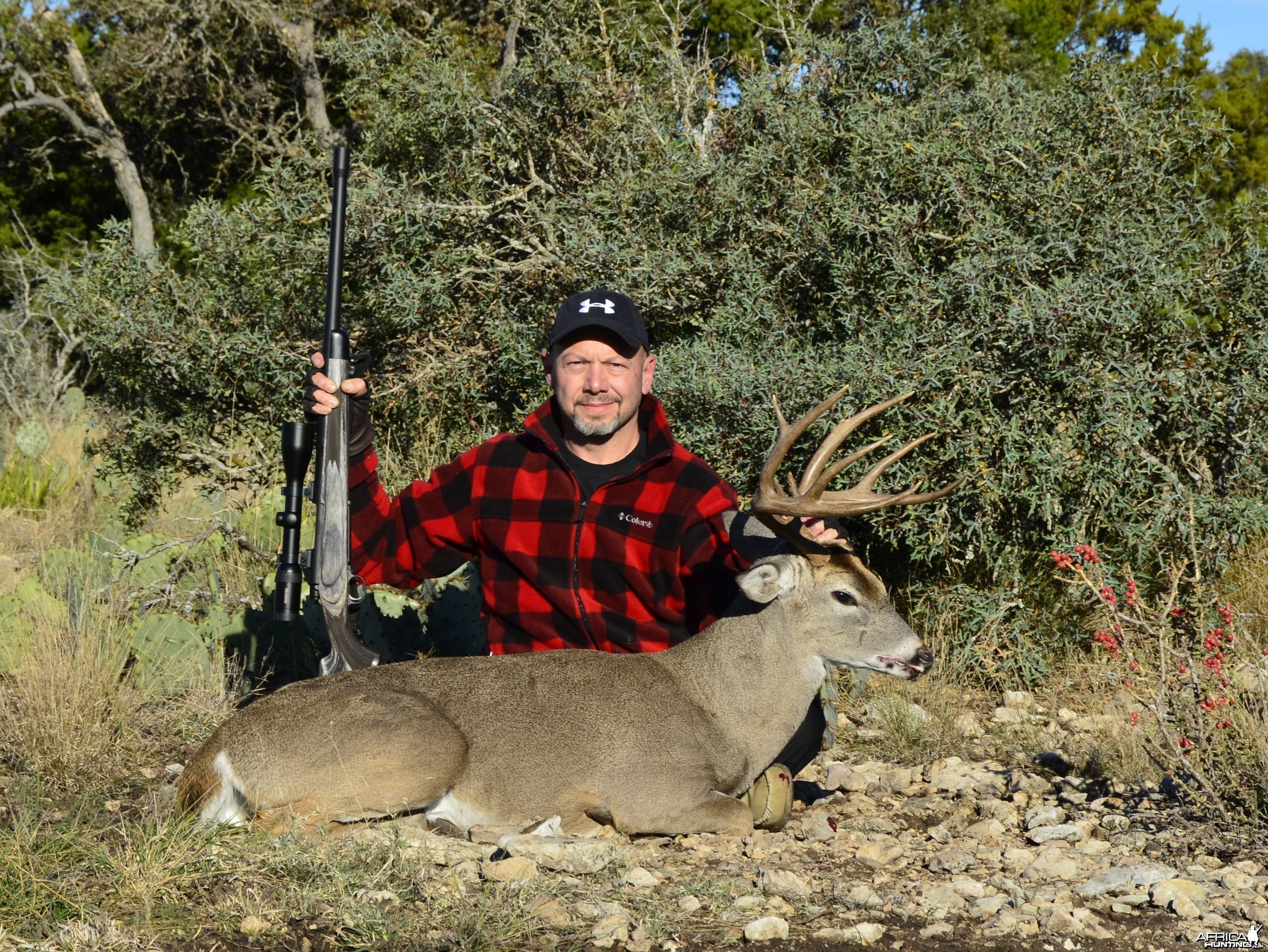 Buck Thanksgiving 2013 Texas Hill Country