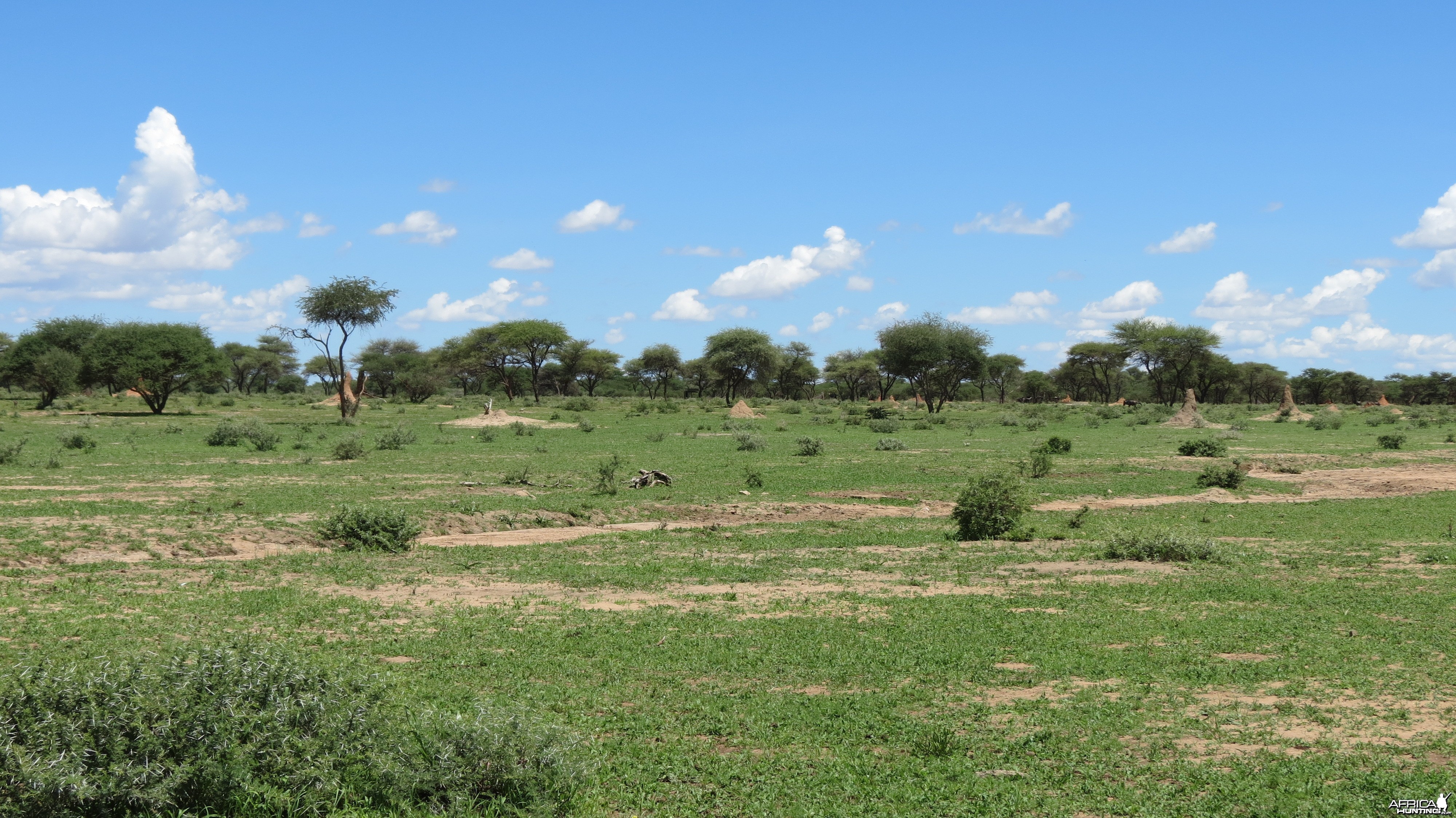 Namibia