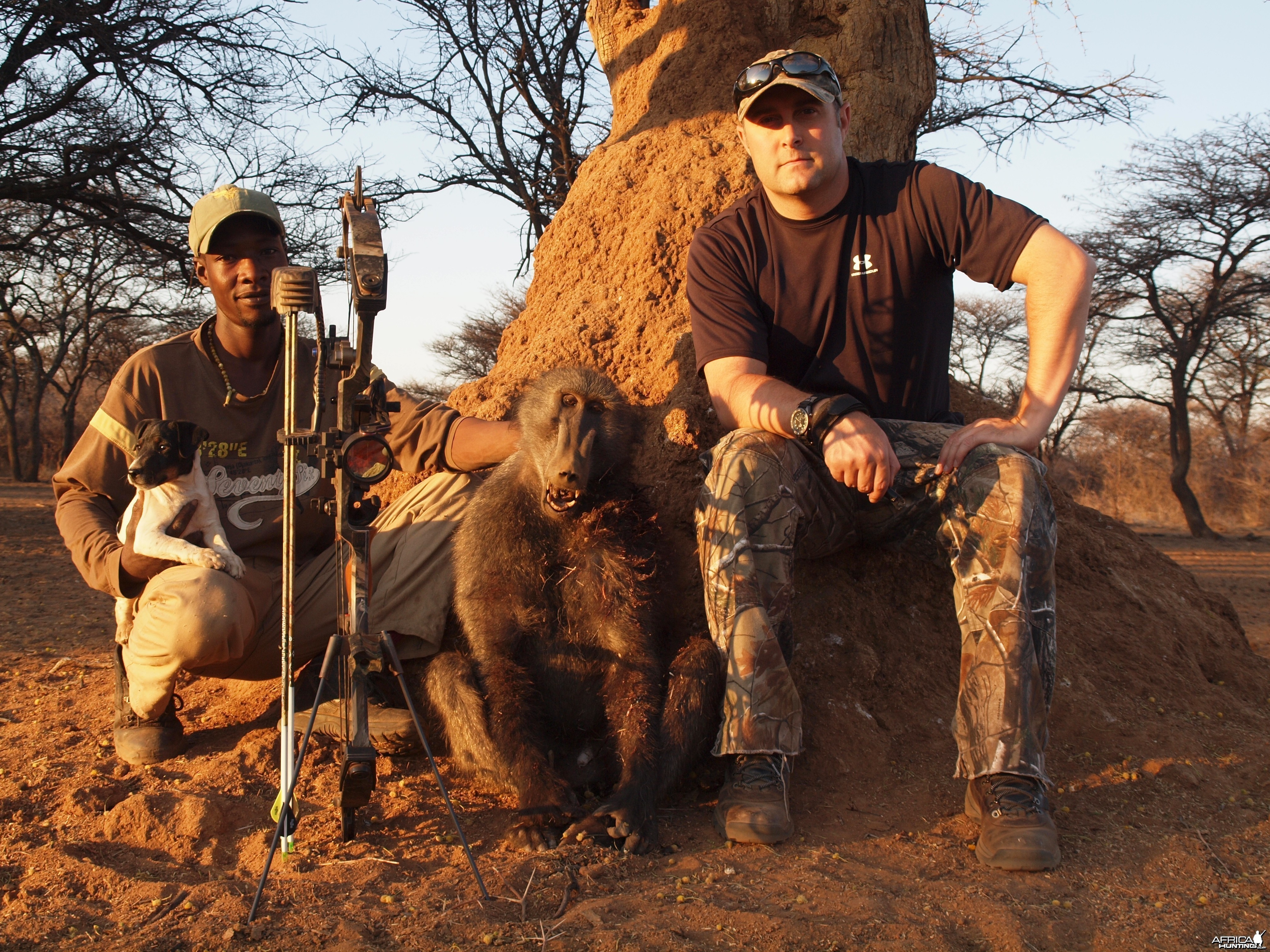 Baboon hunted with Ozondjahe Hunting Safaris in Namibia