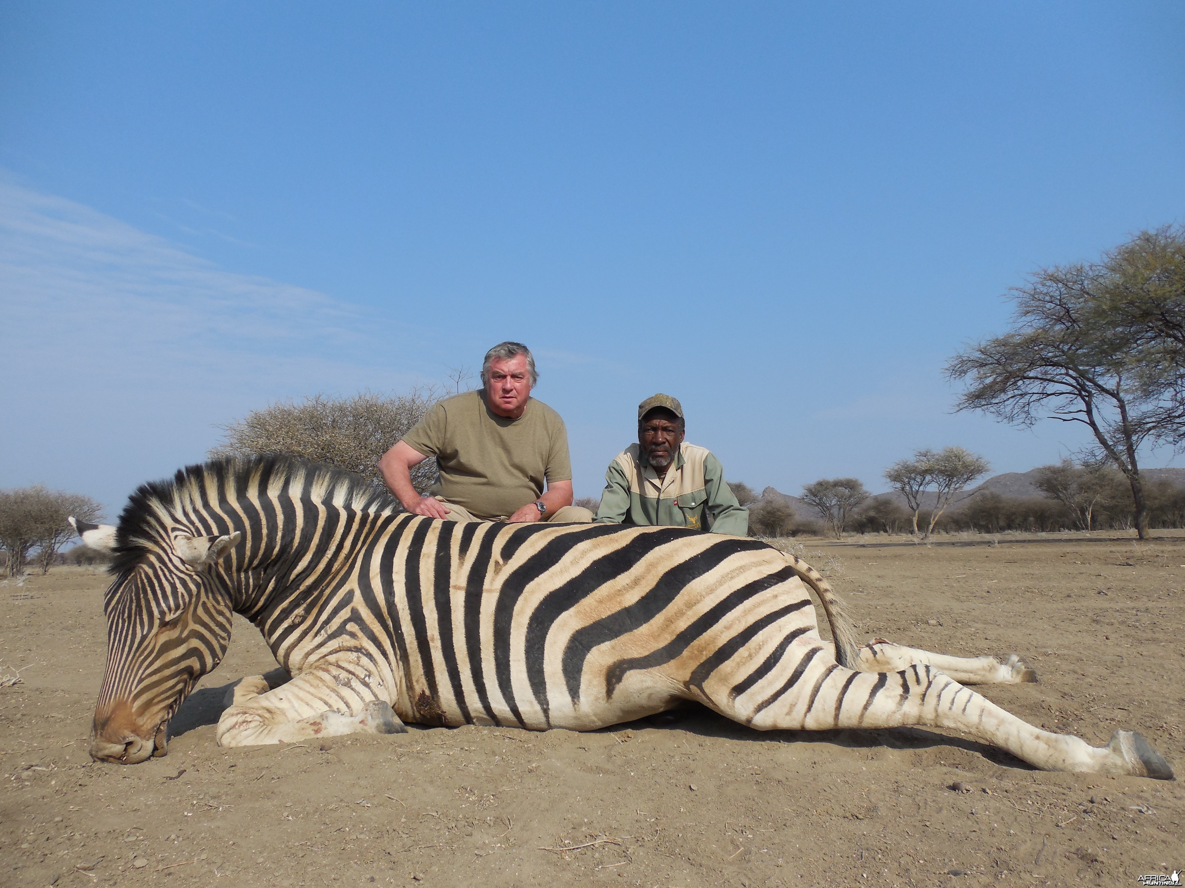 Burchell's Zebra hunted with Ozondjahe Hunting Safaris in Namibia