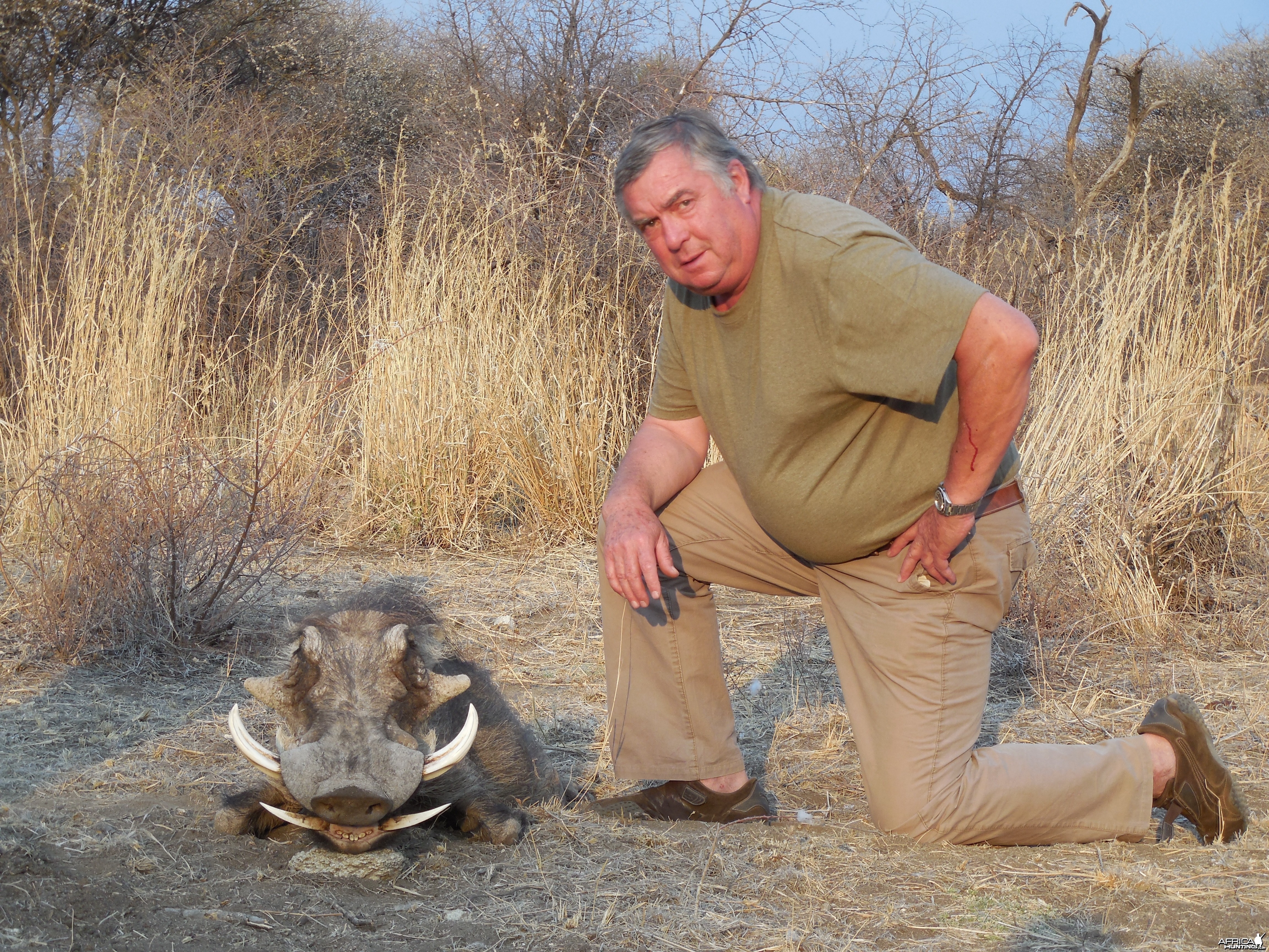 Warthog hunted with Ozondjahe Hunting Safaris in Namibia