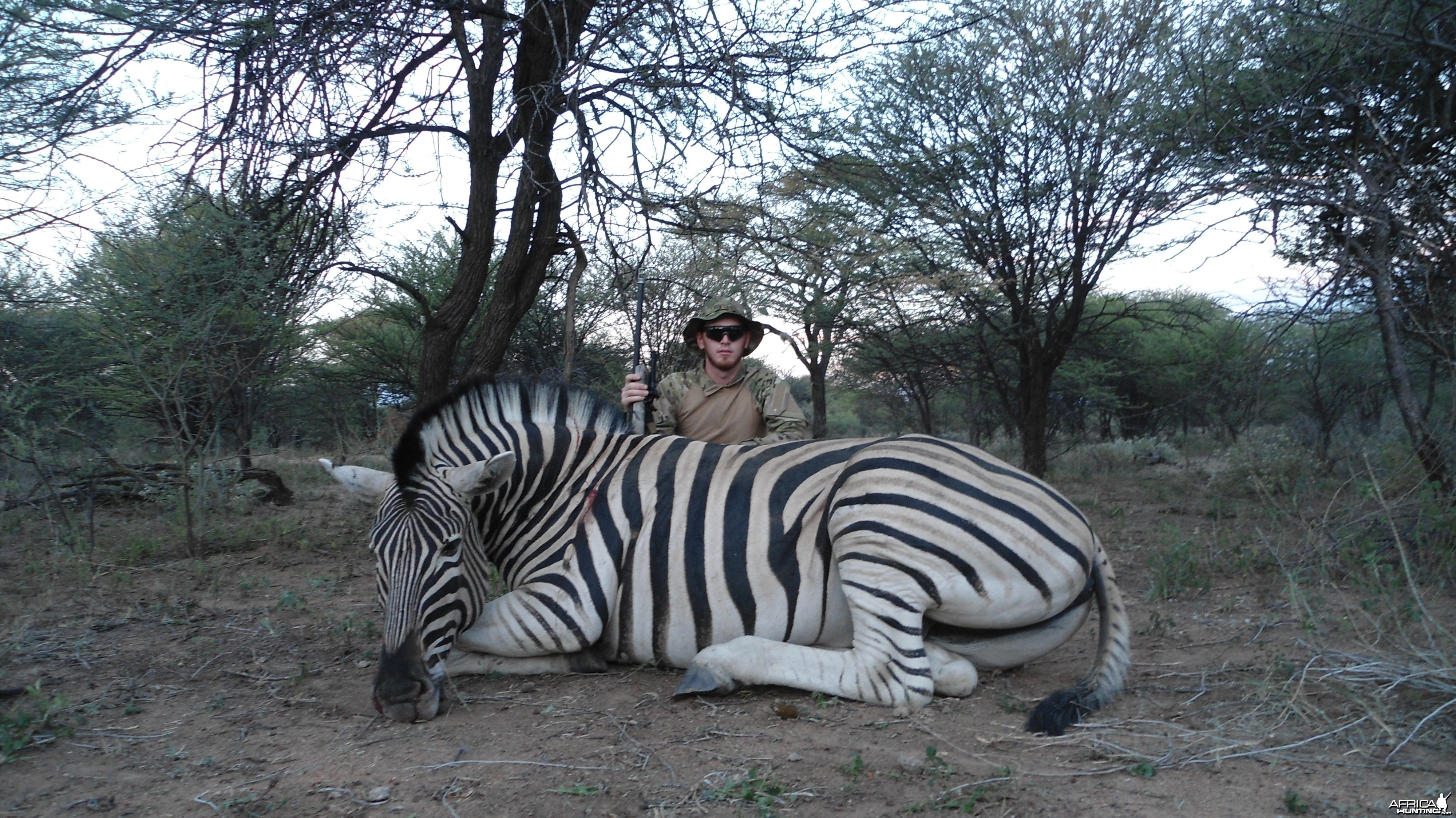 Burchell's Zebra hunted with Ozondjahe Hunting Safaris in Namibia