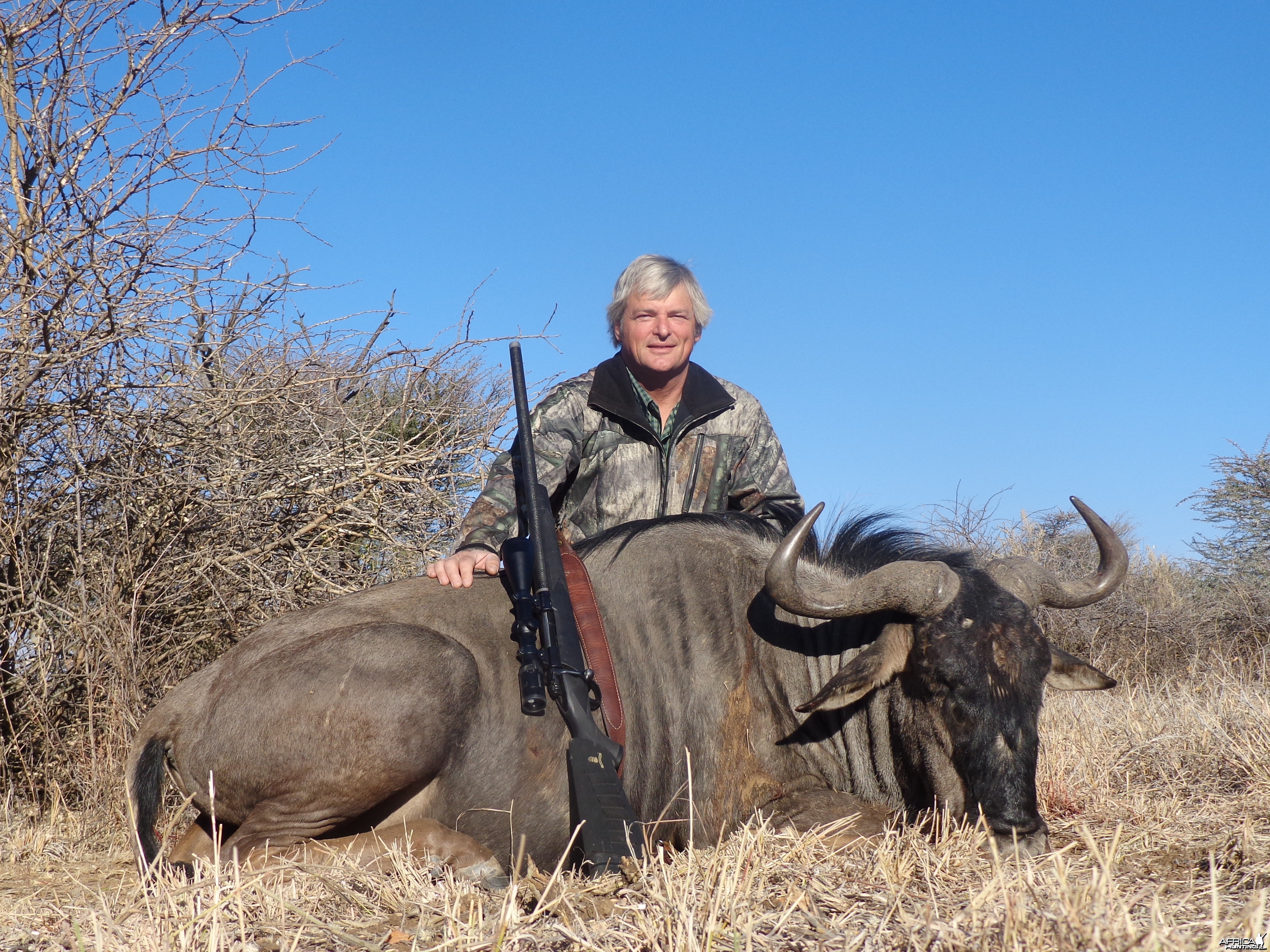 Blue Wildebeest hunted with Ozondjahe Hunting Safaris in Namibia