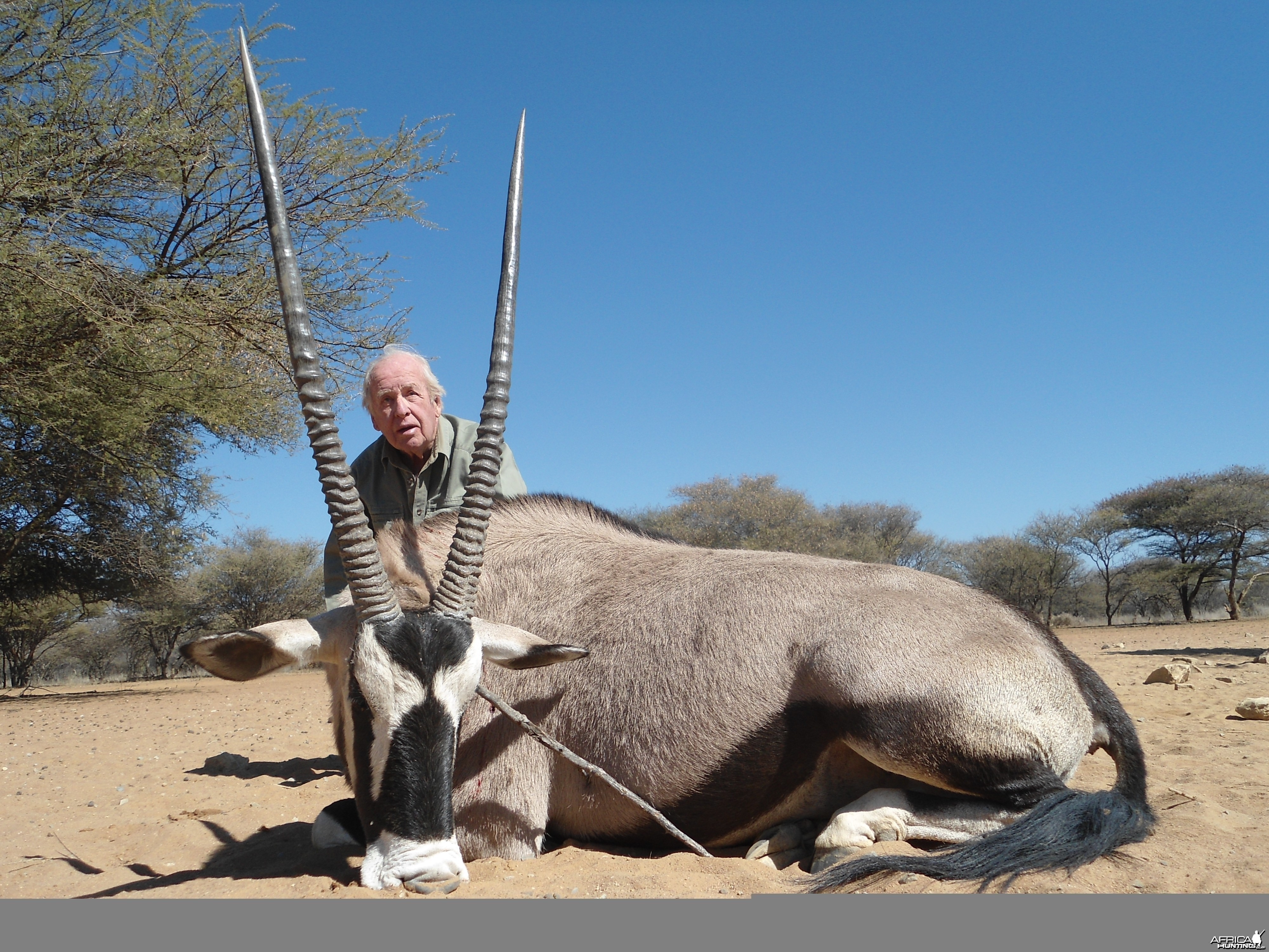 Gemsbok hunted with Ozondjahe Hunting Safaris in Namibia