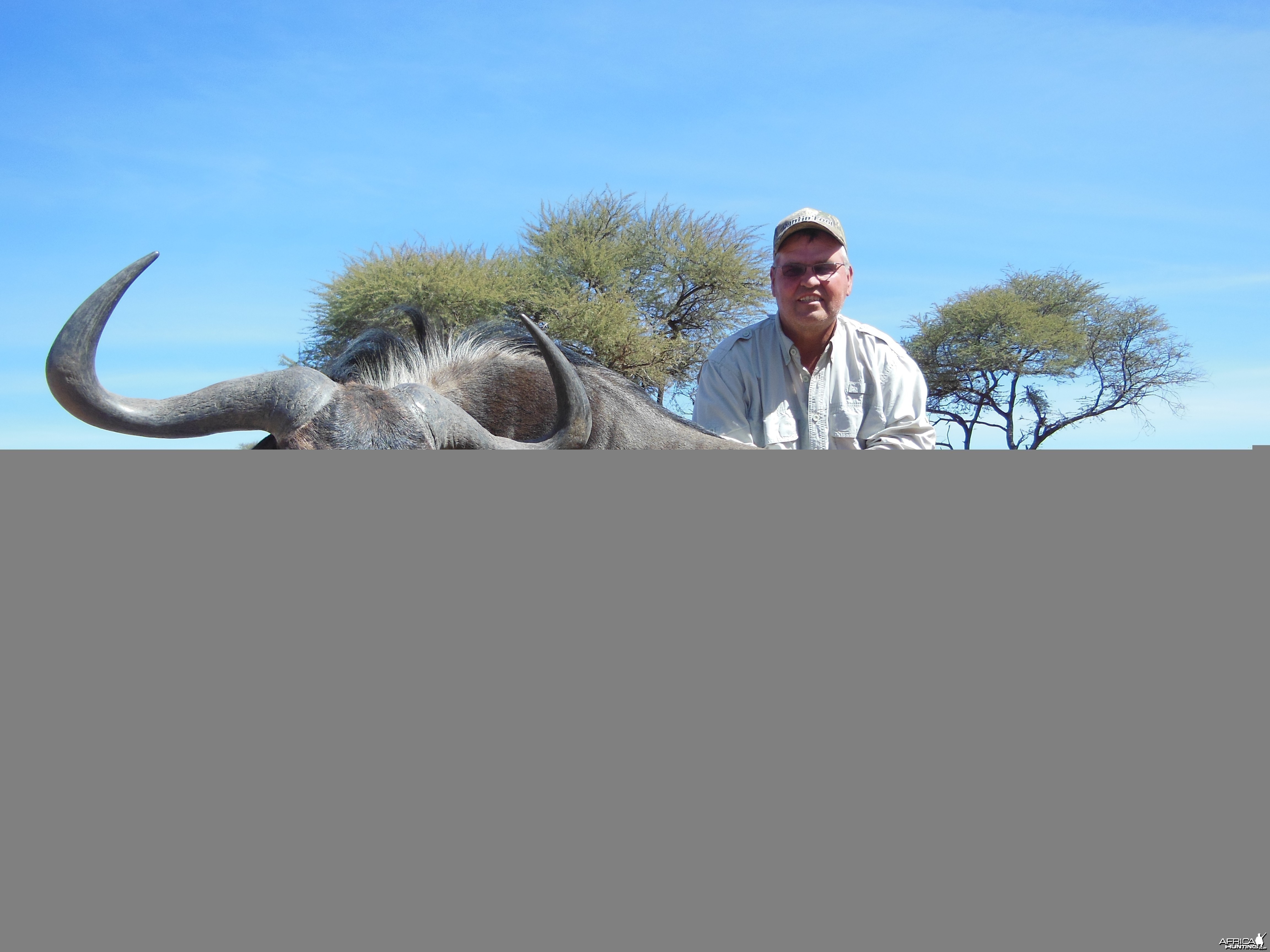 Blue Wildebeest hunted with Ozondjahe Hunting Safaris in Namibia