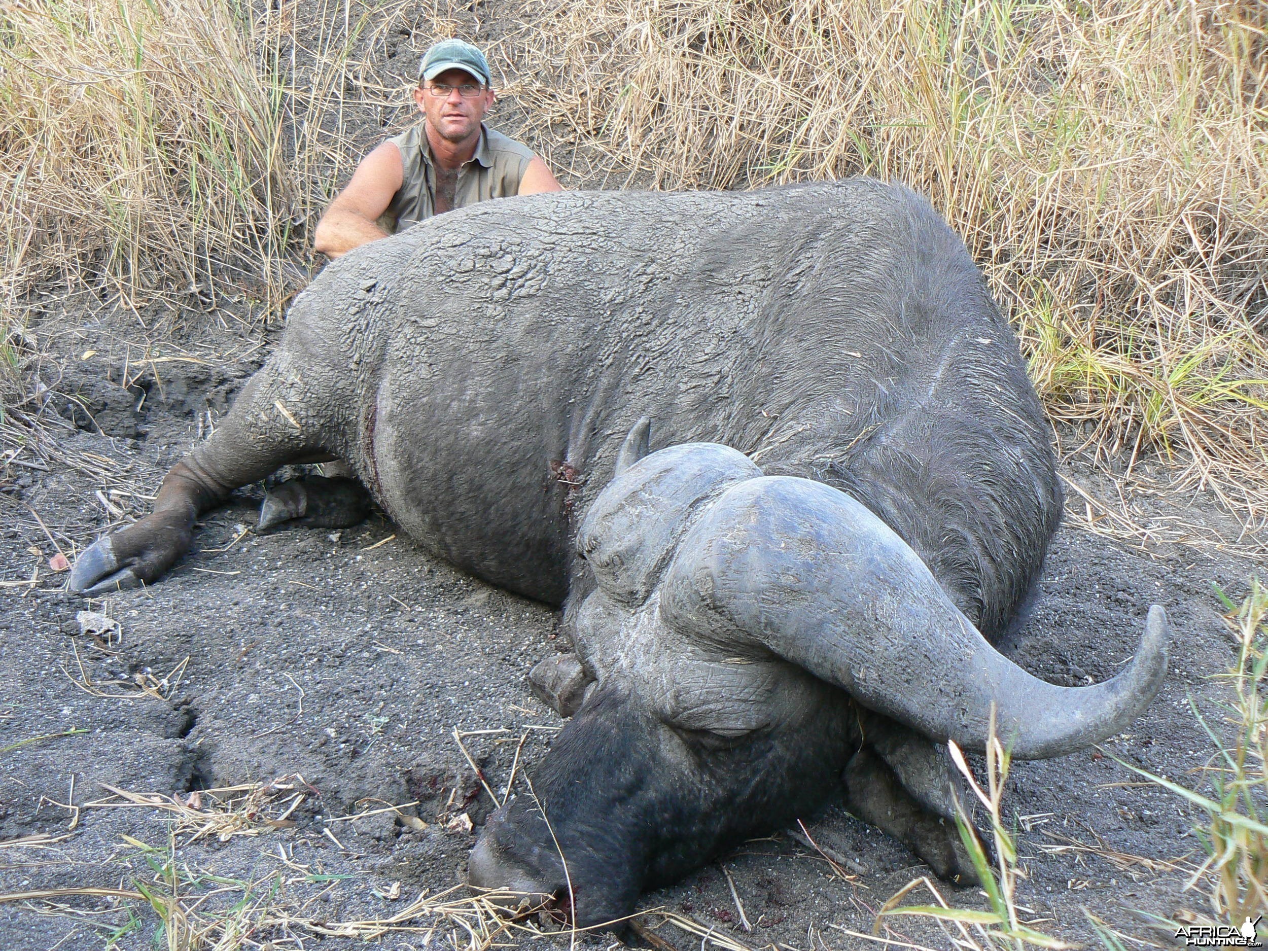 Hunting Buffalo in Tanzania