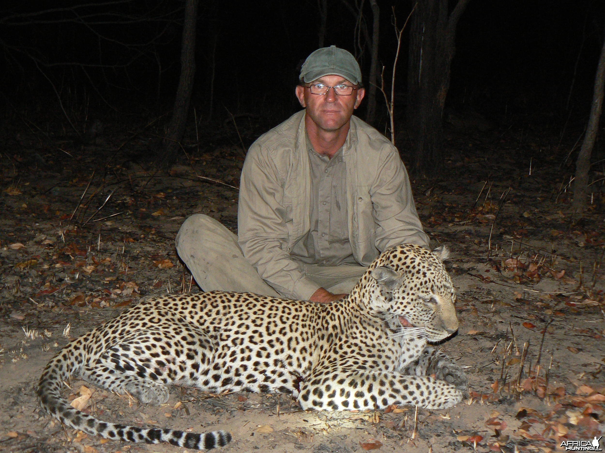 Very old leopard - Hunt Tanzania