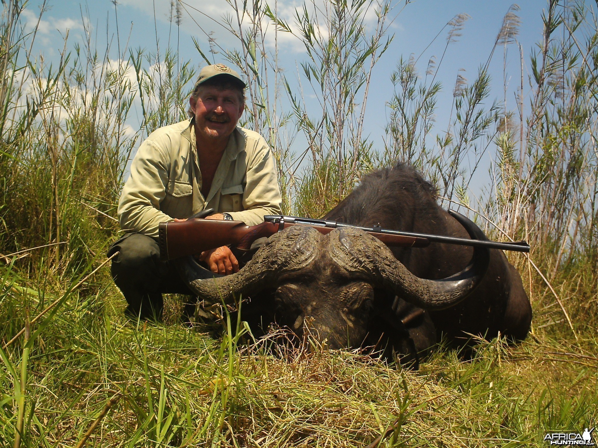Buffalo Mozambique