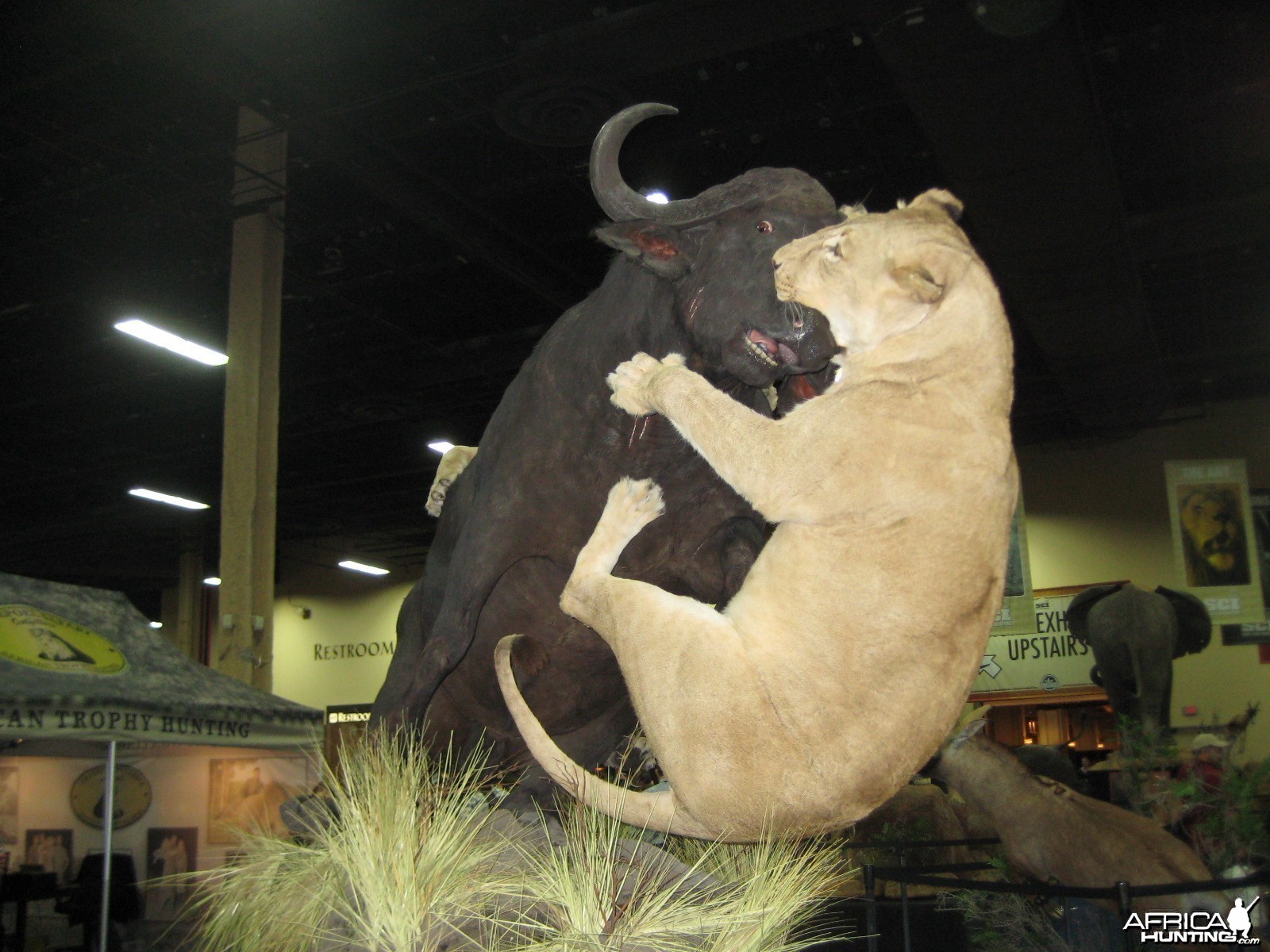 Taxidermy at Safari Club International Convention