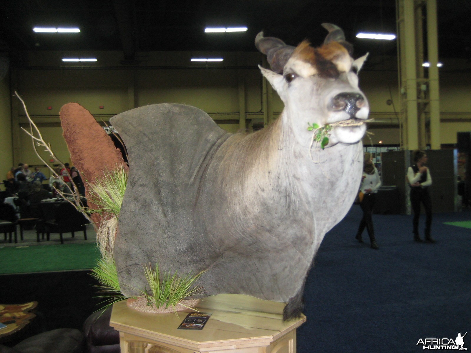 Taxidermy at Safari Club International Convention