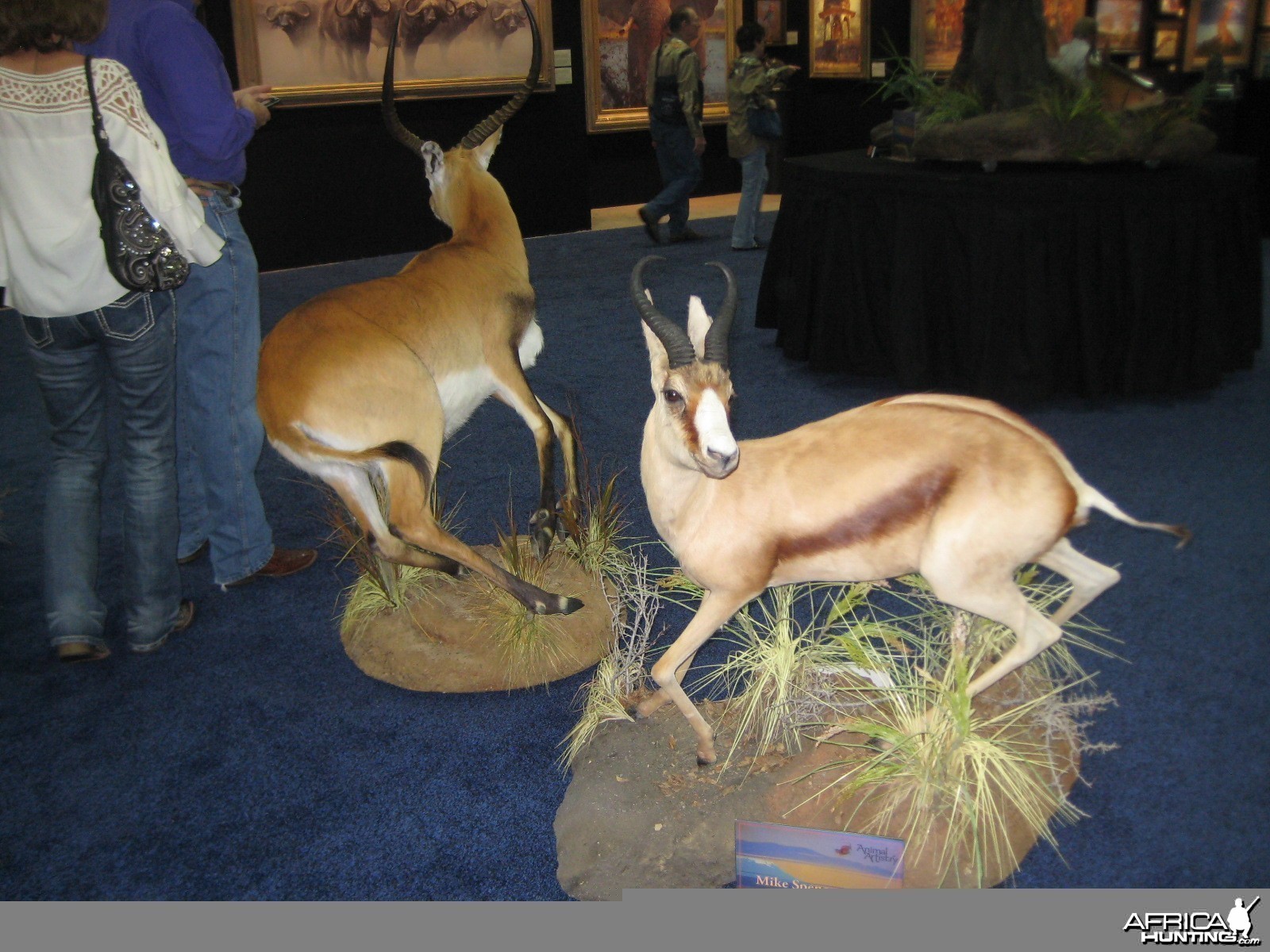 Taxidermy at Safari Club International Convention