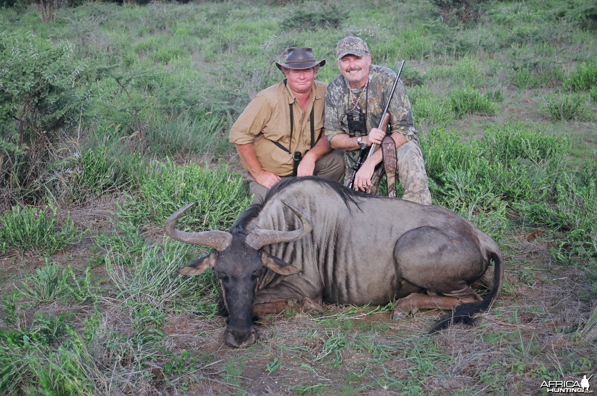 Blue Wildebeest/PH Andries Smit/Doug Yates