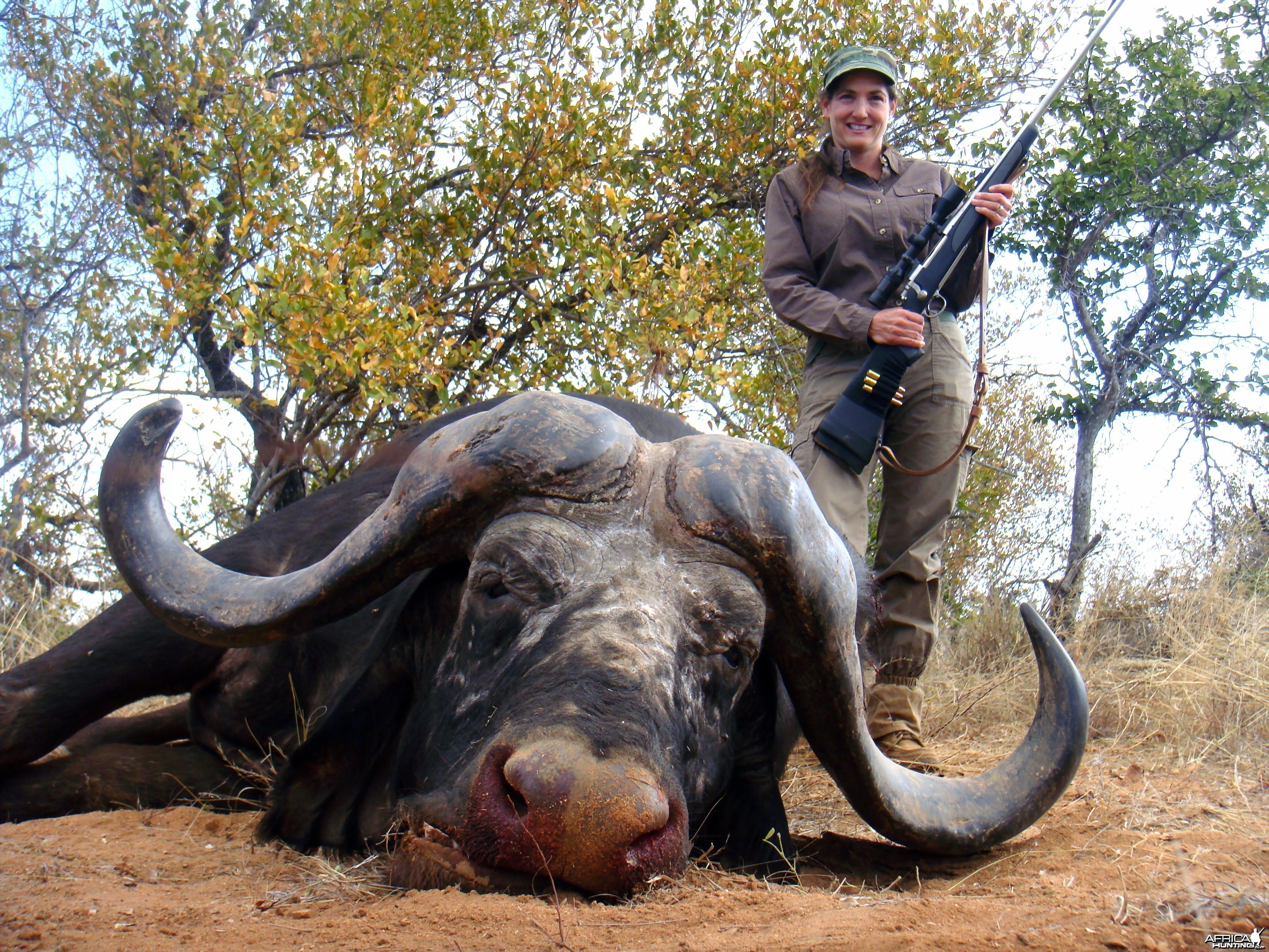 Greater Kruger Buffalo