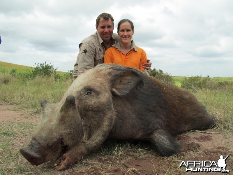 Umdende Hunting Safaris