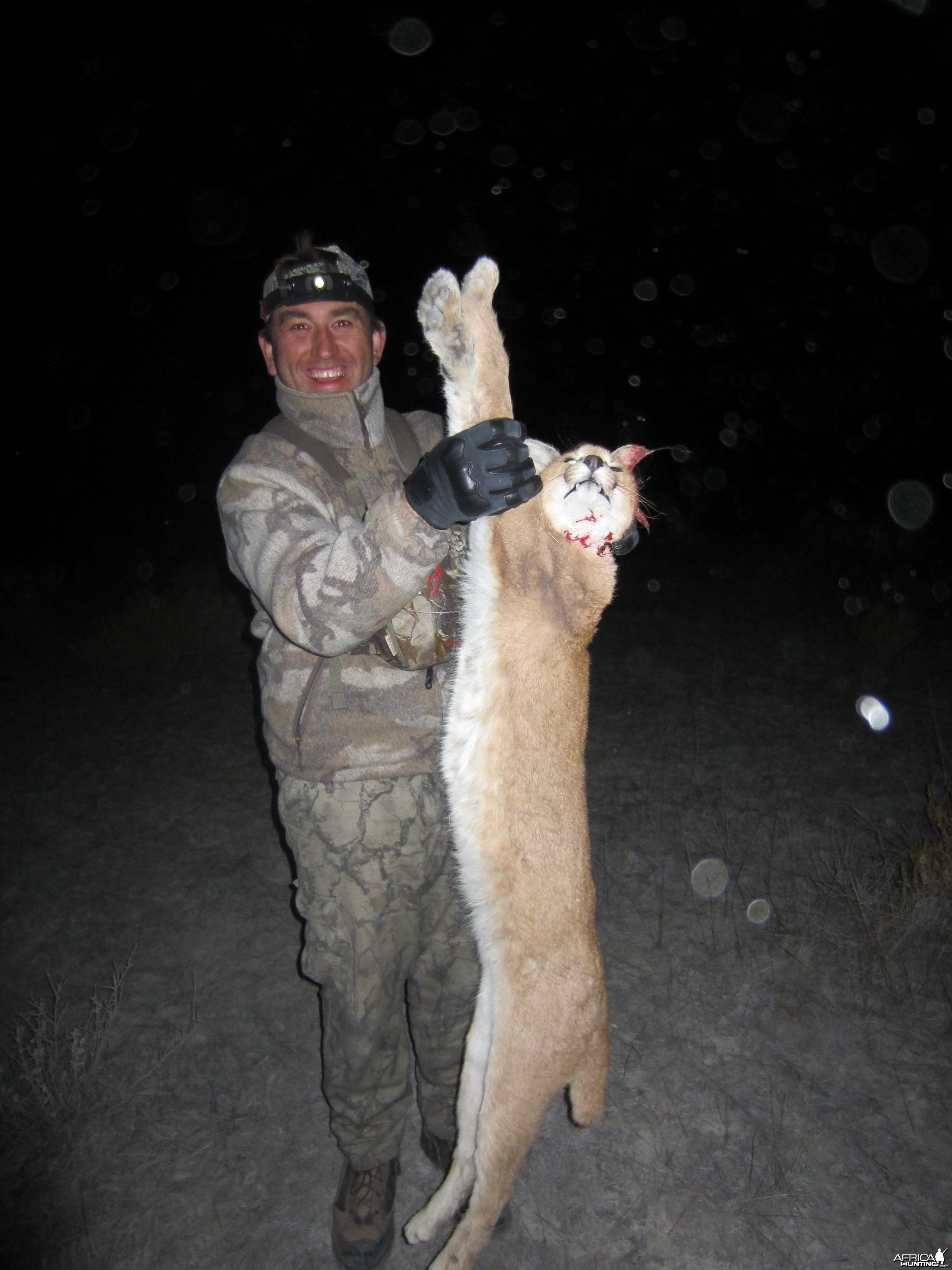 Caracal Namibia